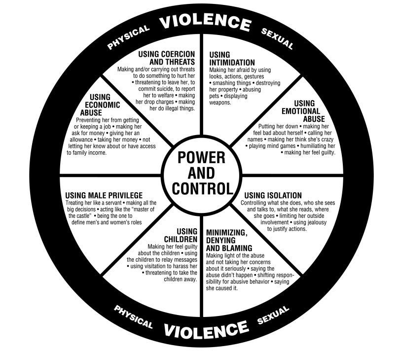 Power and Control Wheel, developed by the Domestic Abuse Intervention Programs (DAIP)