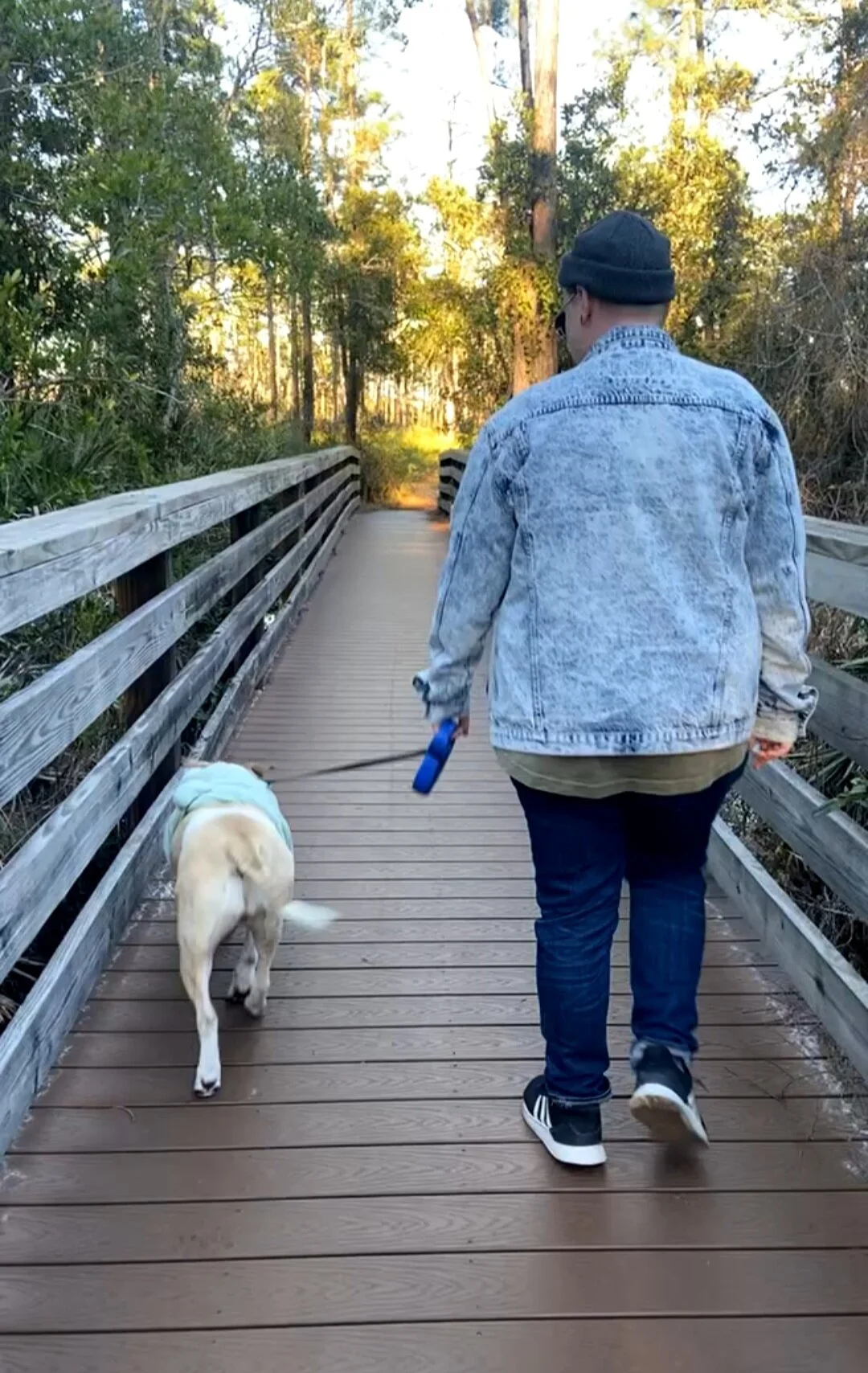 Person walking a dog on a wooden bridge in a forested area during sunset.