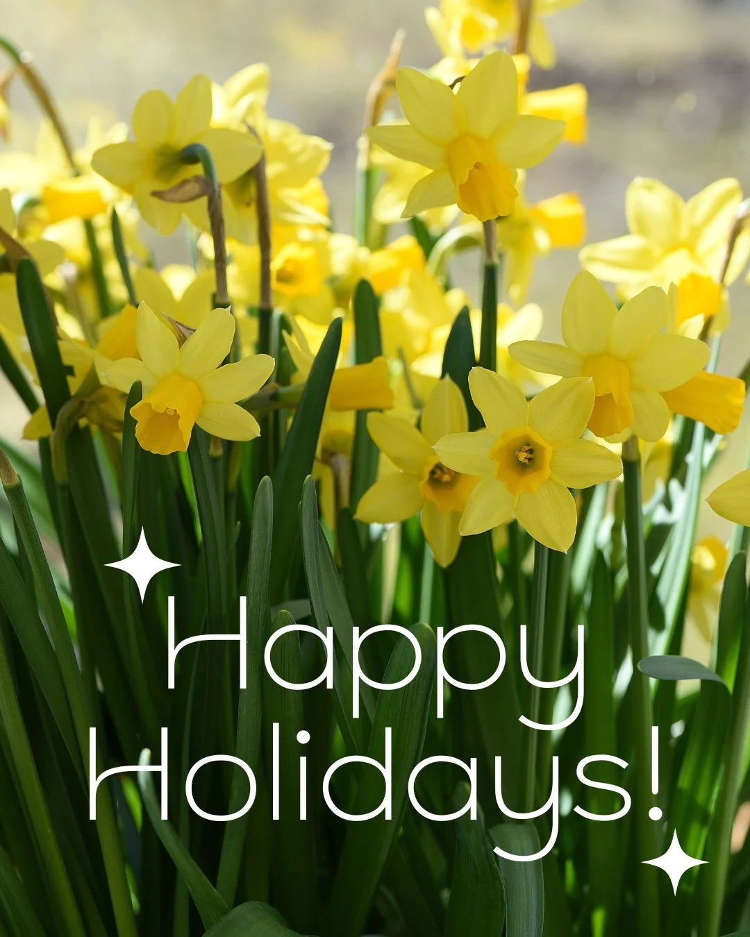 Happy holidays! ⁠
⁠
Whether you celebrate Passover, Easter, or just Spring itself we hope you have a wonderful holiday weekend.