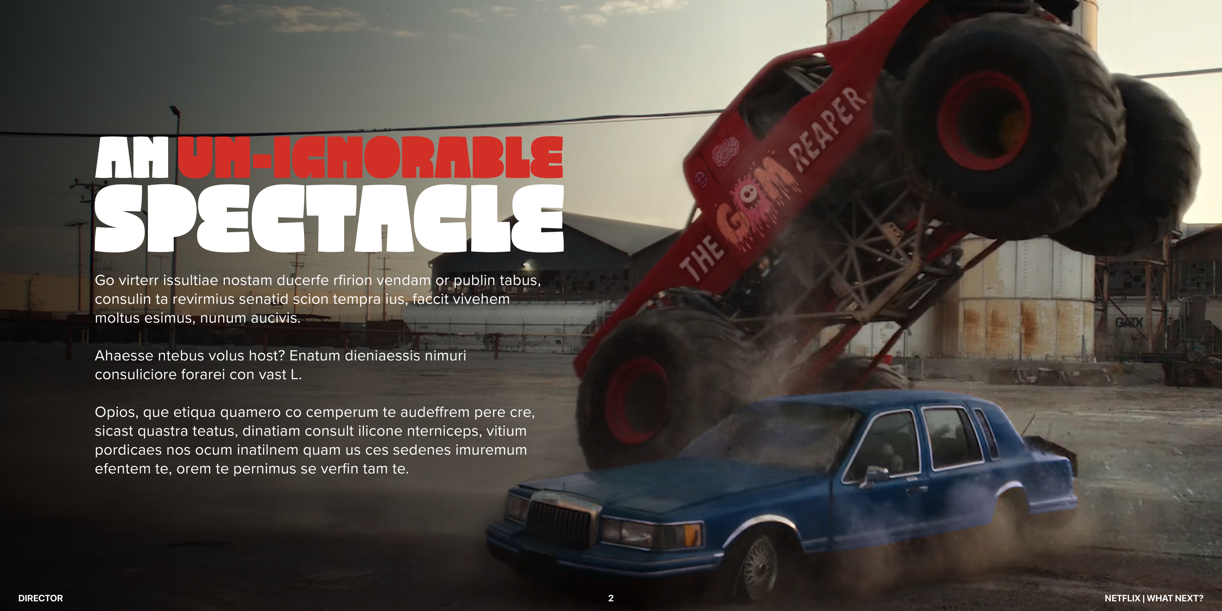 SB Netflix_portfolio2.png