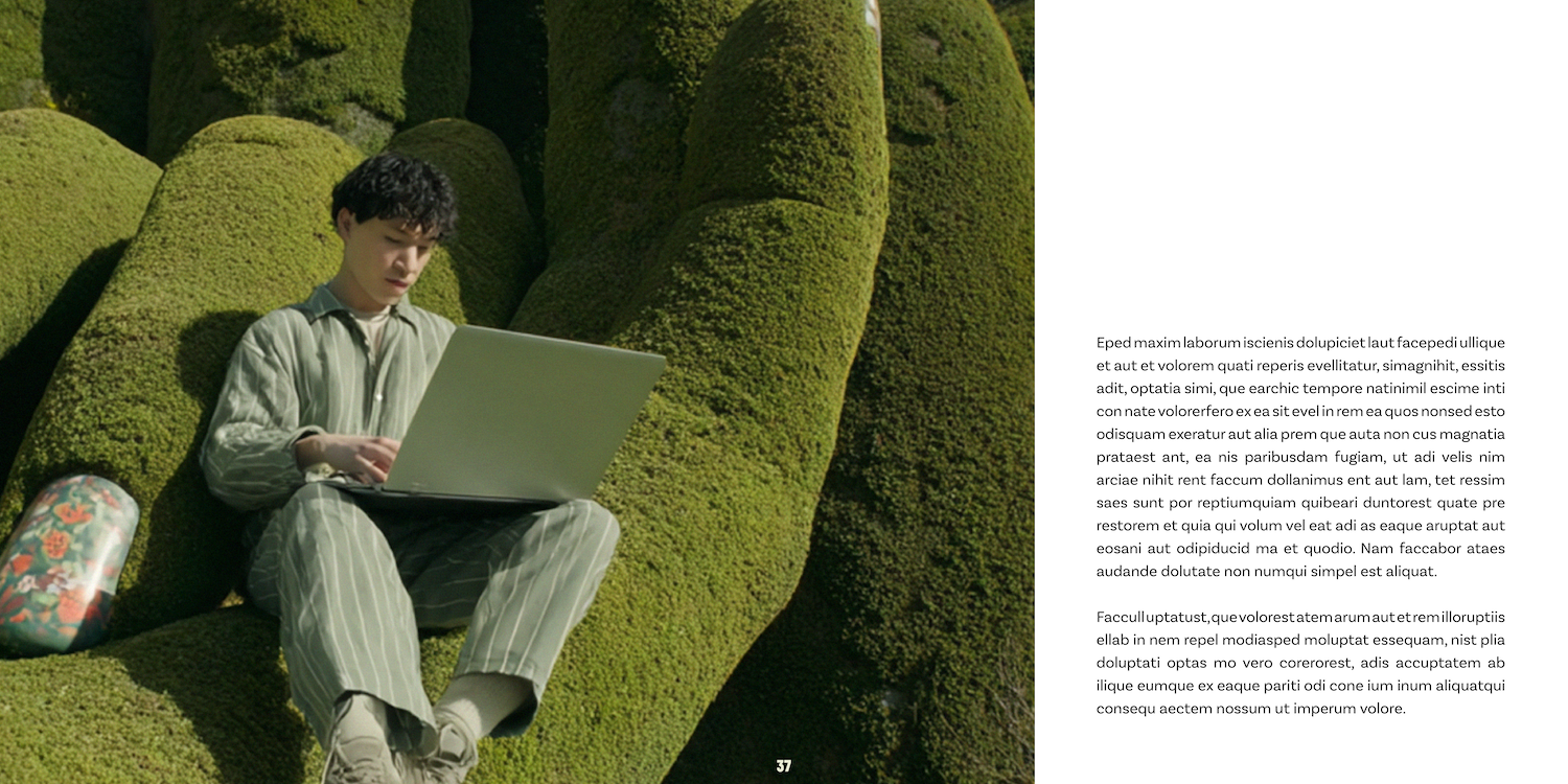 SB_Adobe_portfolio37.png