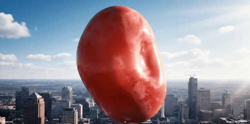 SB Netflix_portfolio9.gif