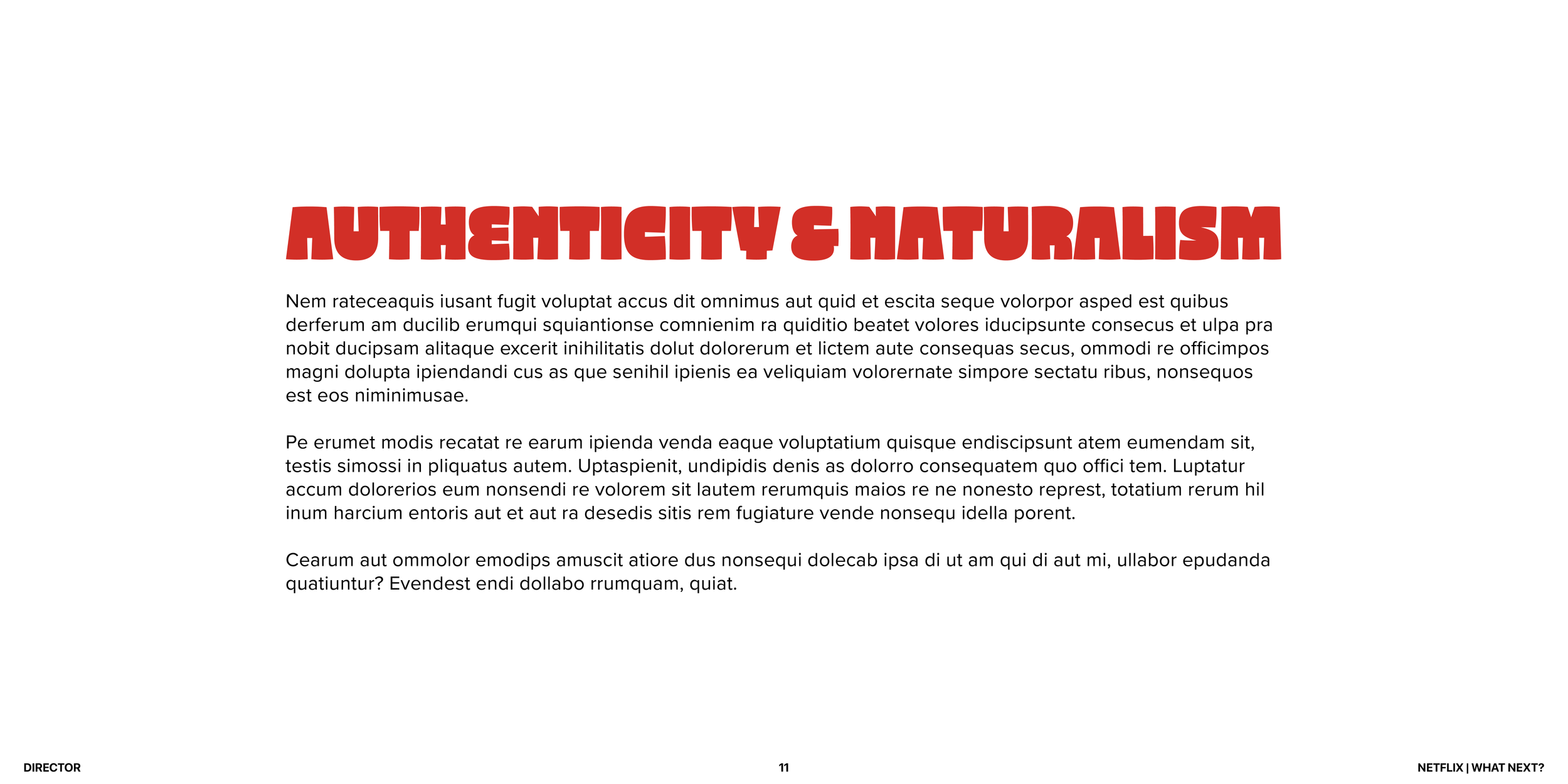 SB Netflix_portfolio11.png