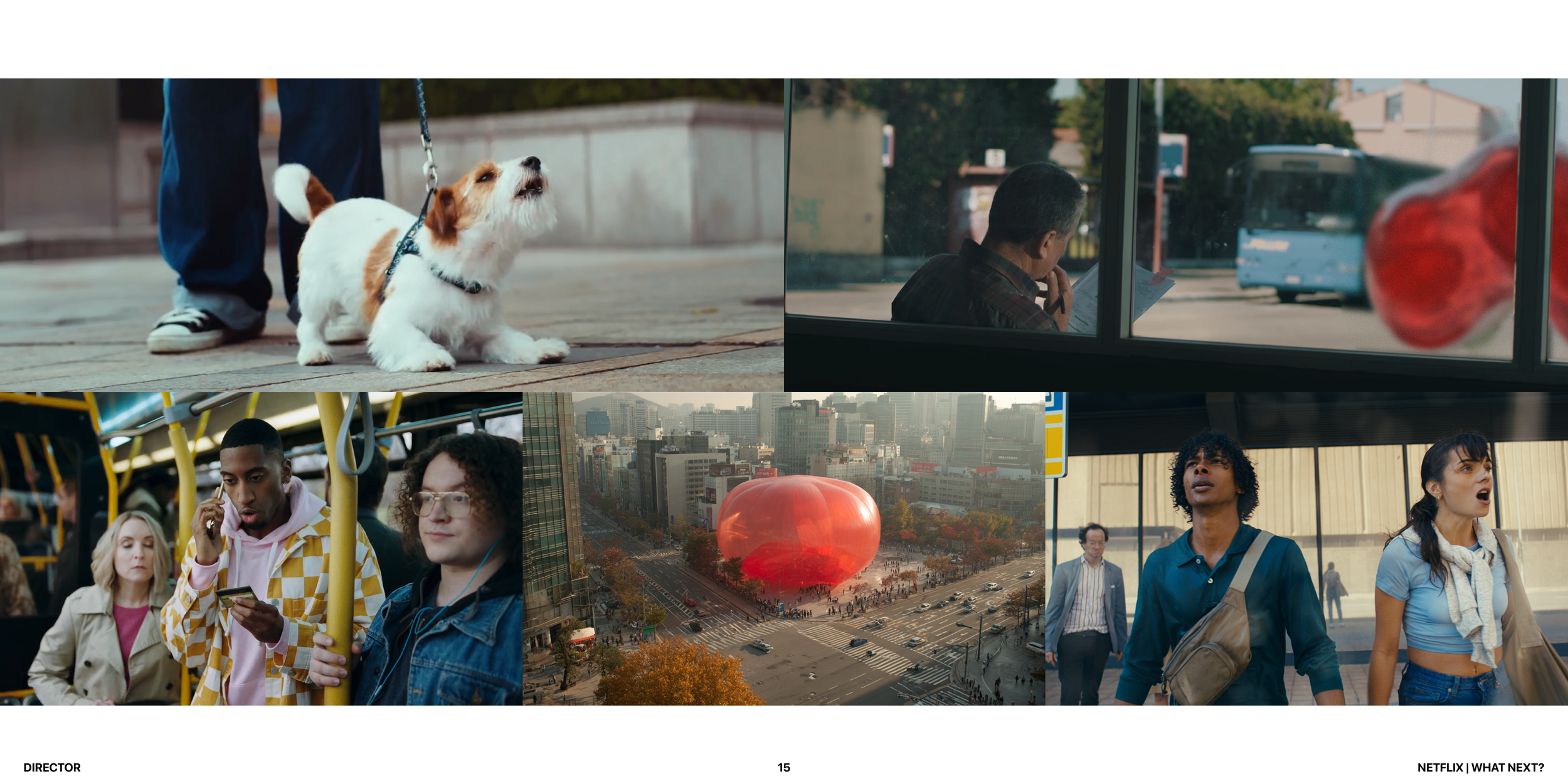 SB Netflix_portfolio15.png