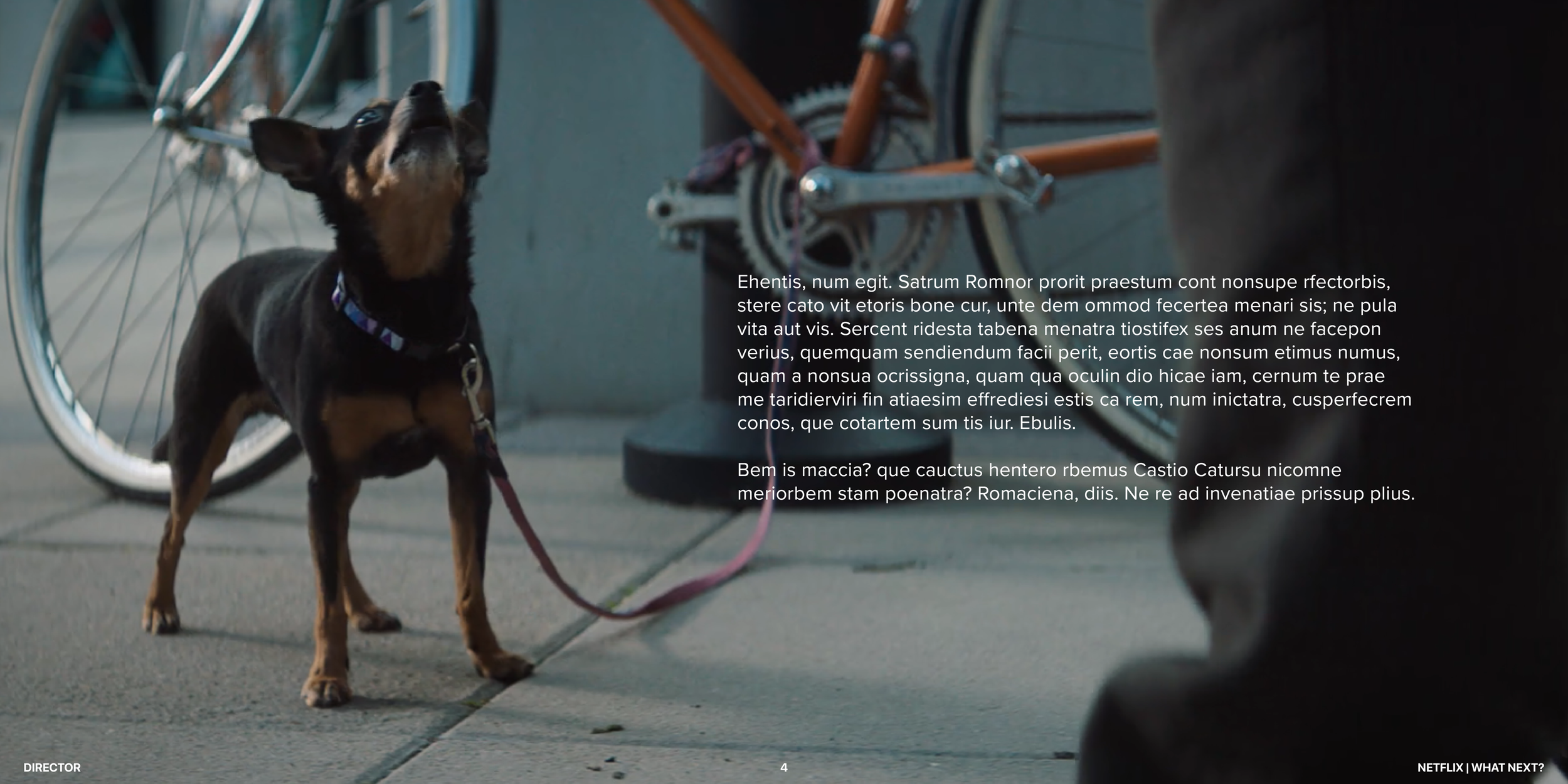 SB Netflix_portfolio4.png