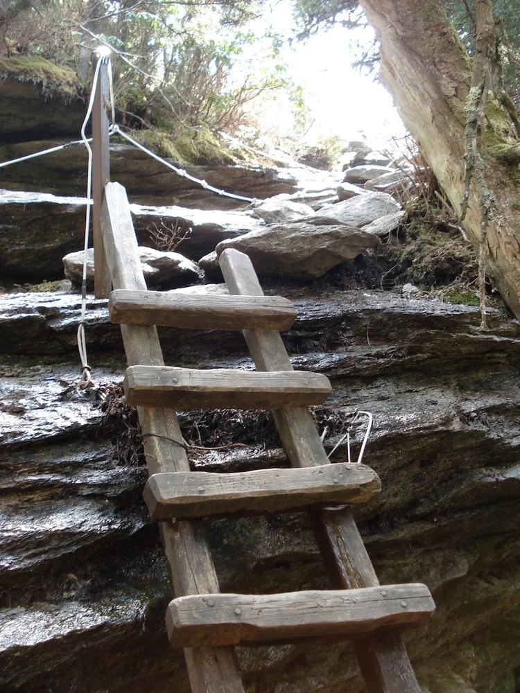 Sometimes I forget to breathe.