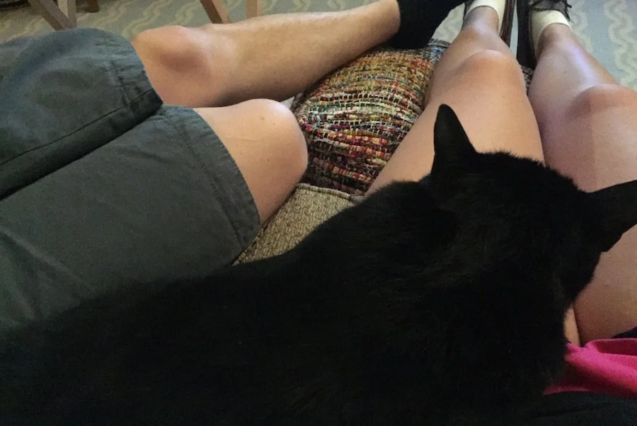 A black cat sits curled up across two people's legs.