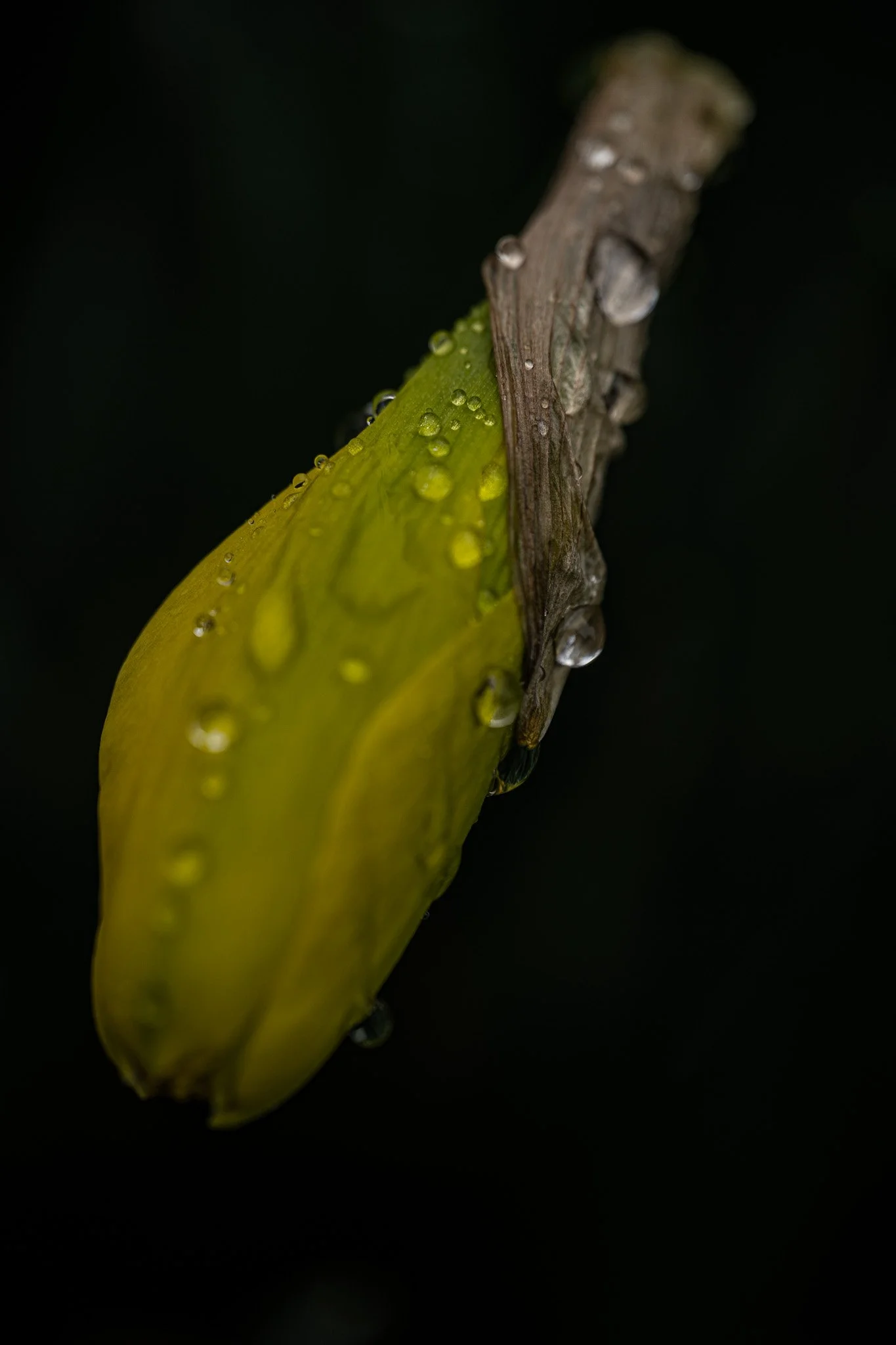 DSC_6309.jpg
