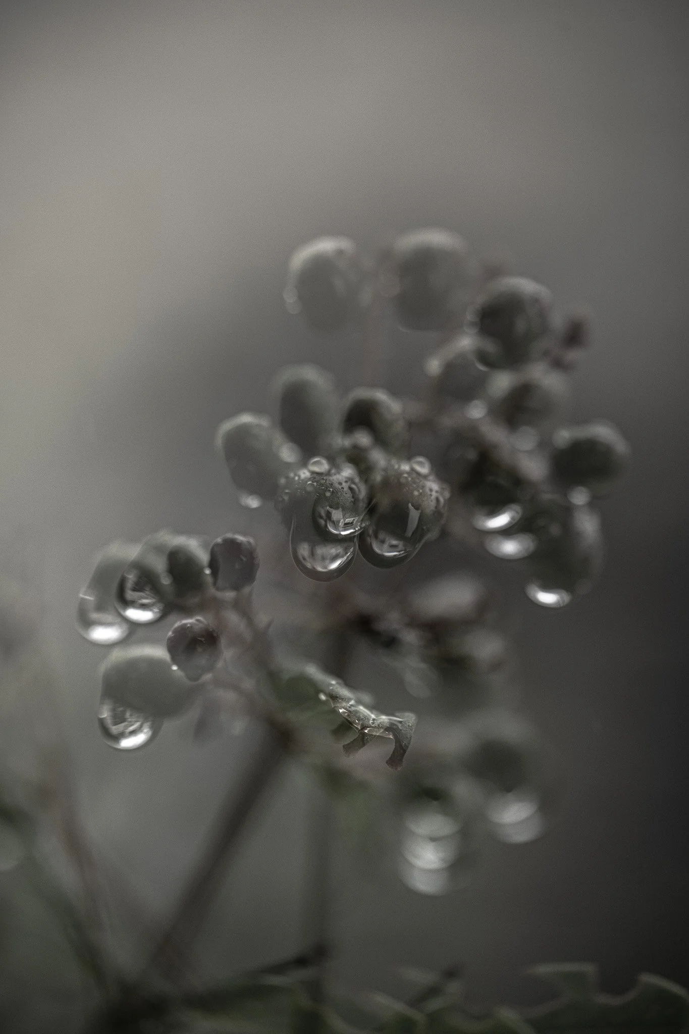 DSC_5032.jpg