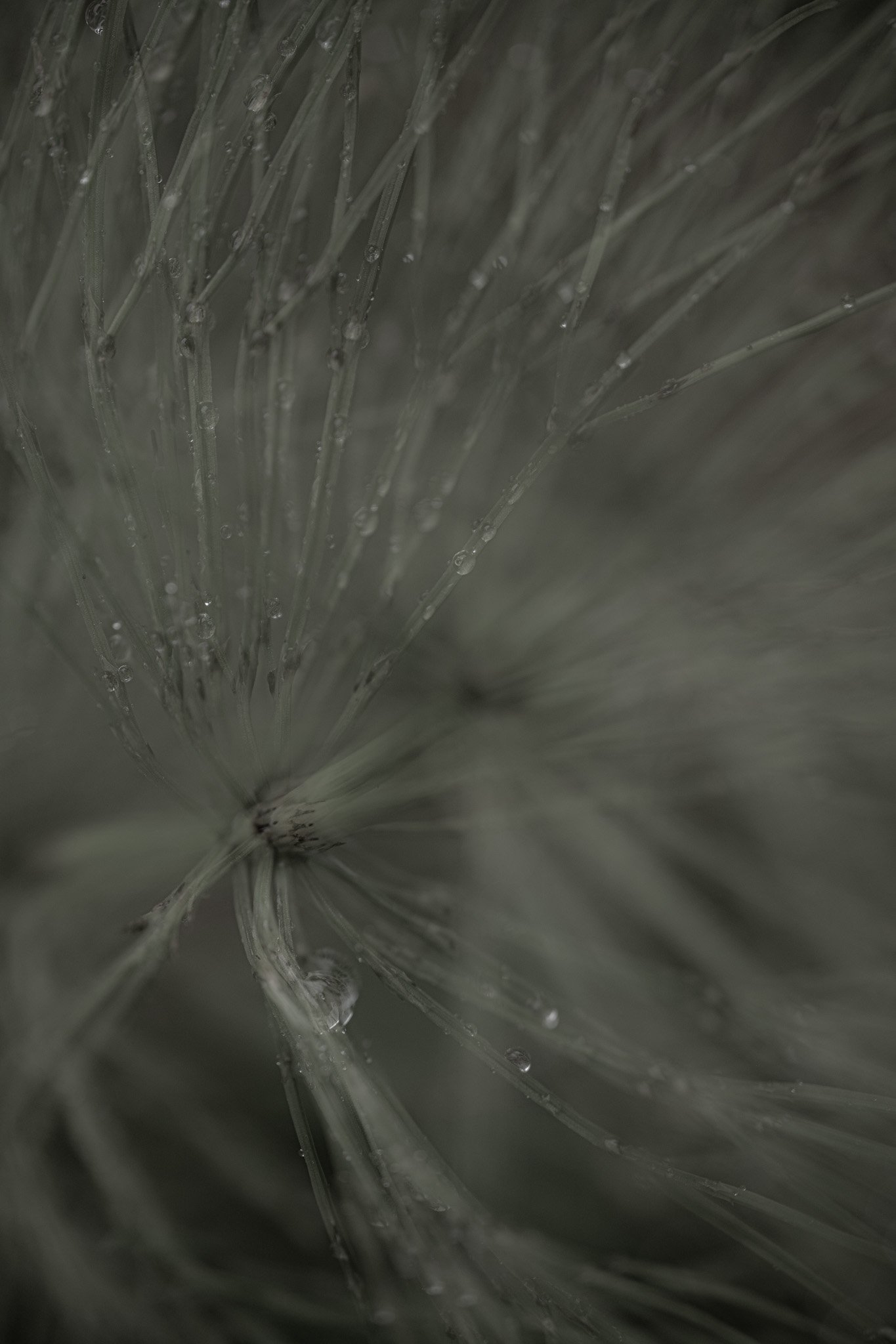 DSC_5080.jpg