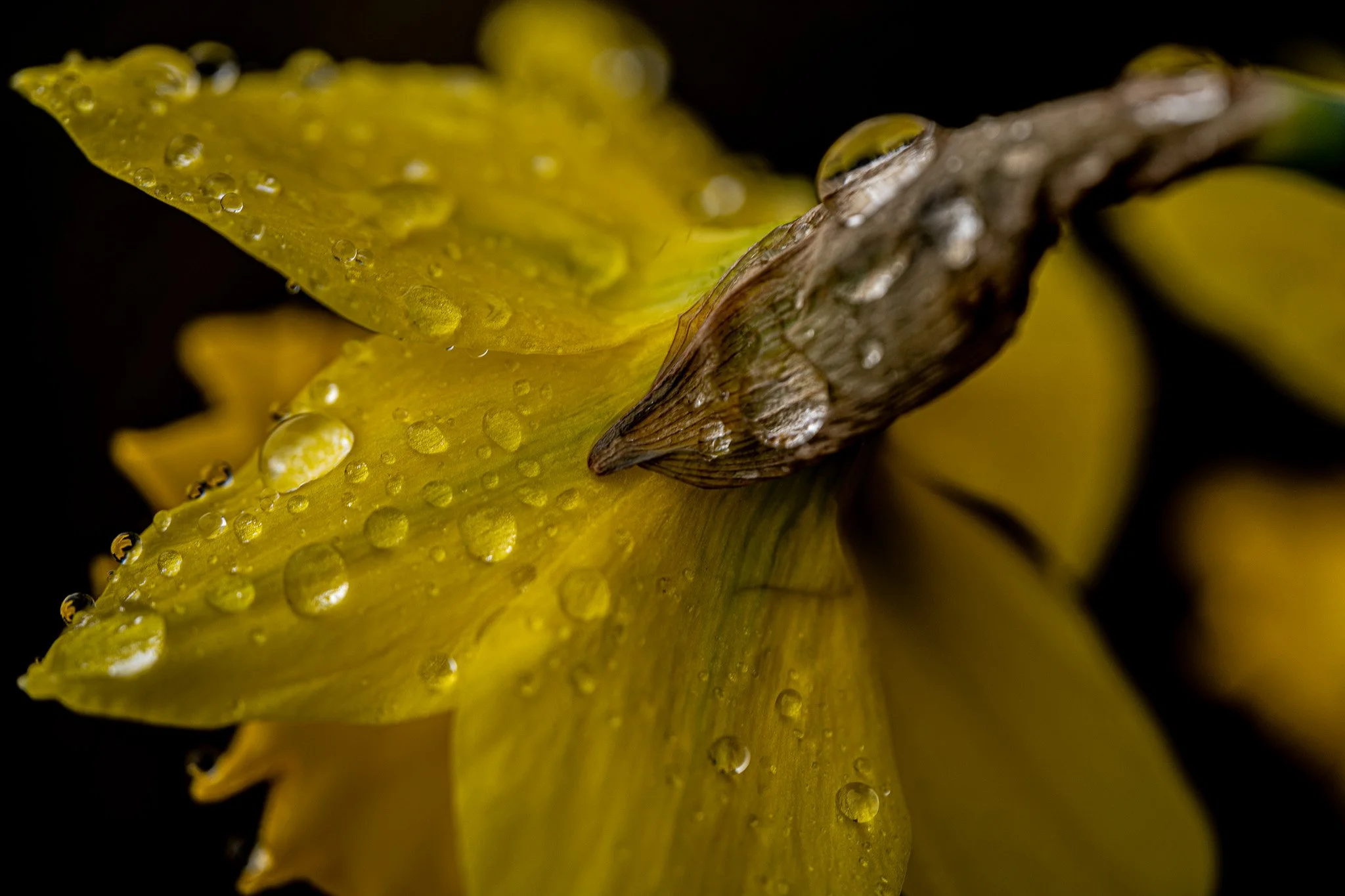 DSC_6303.jpg