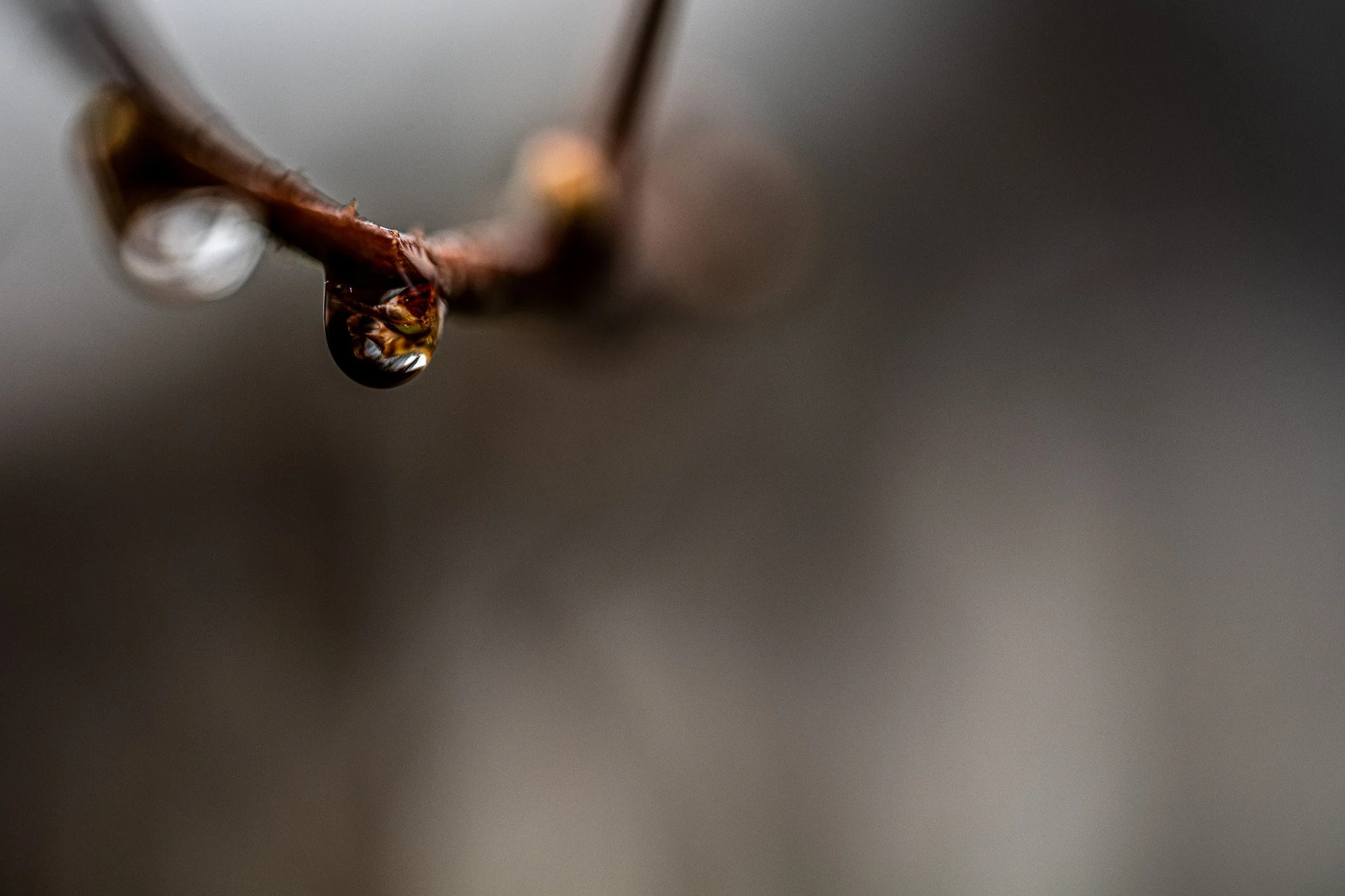 DSC_6209.jpg