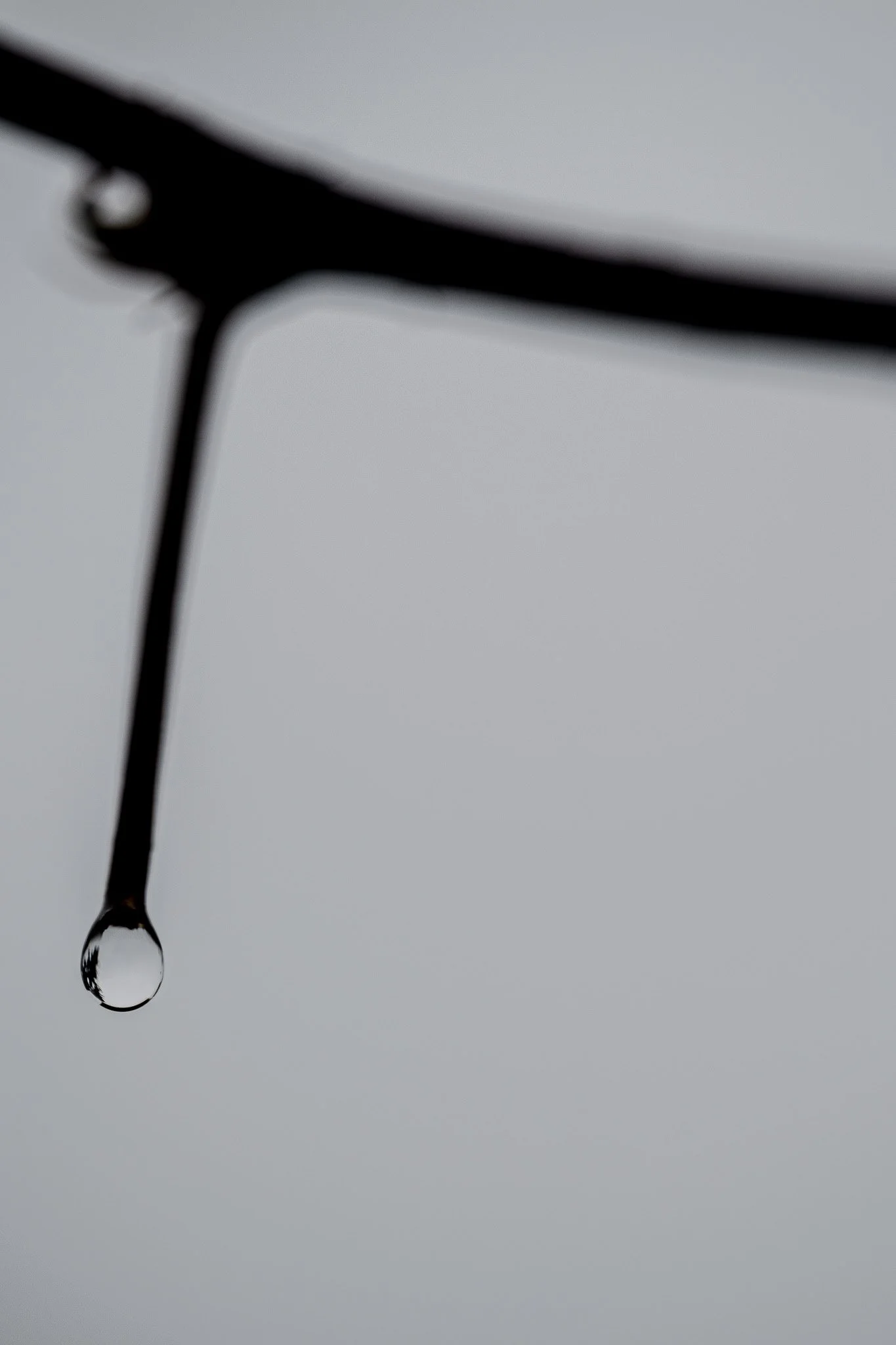 DSC_6216-2-2.jpg