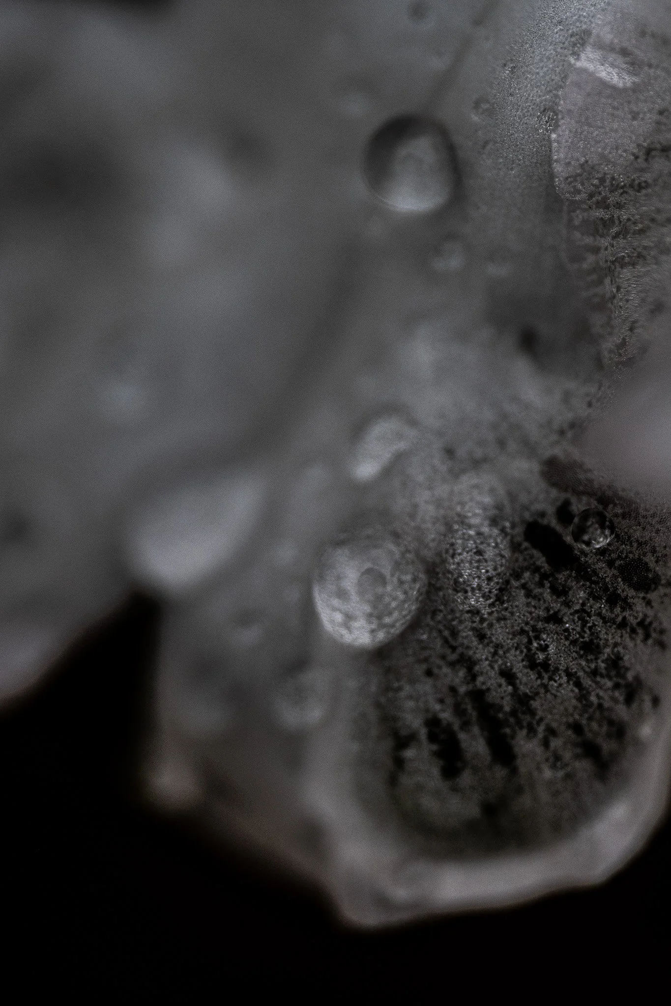 DSC_0030.jpg