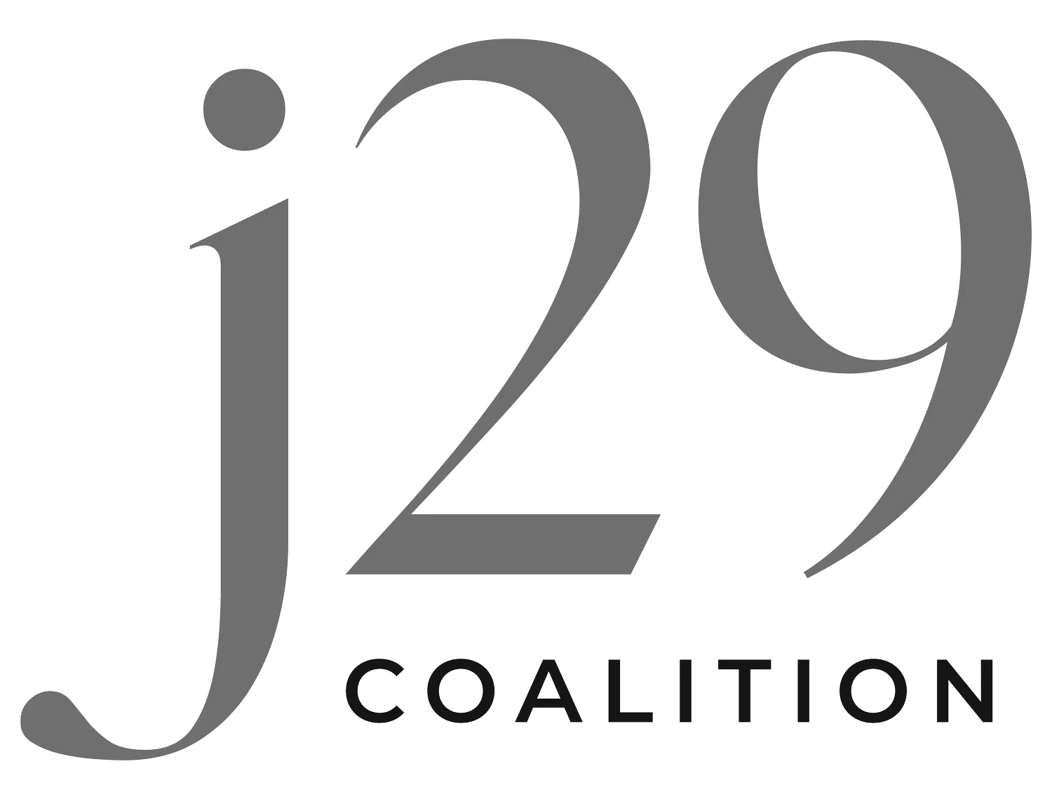 J29 logo