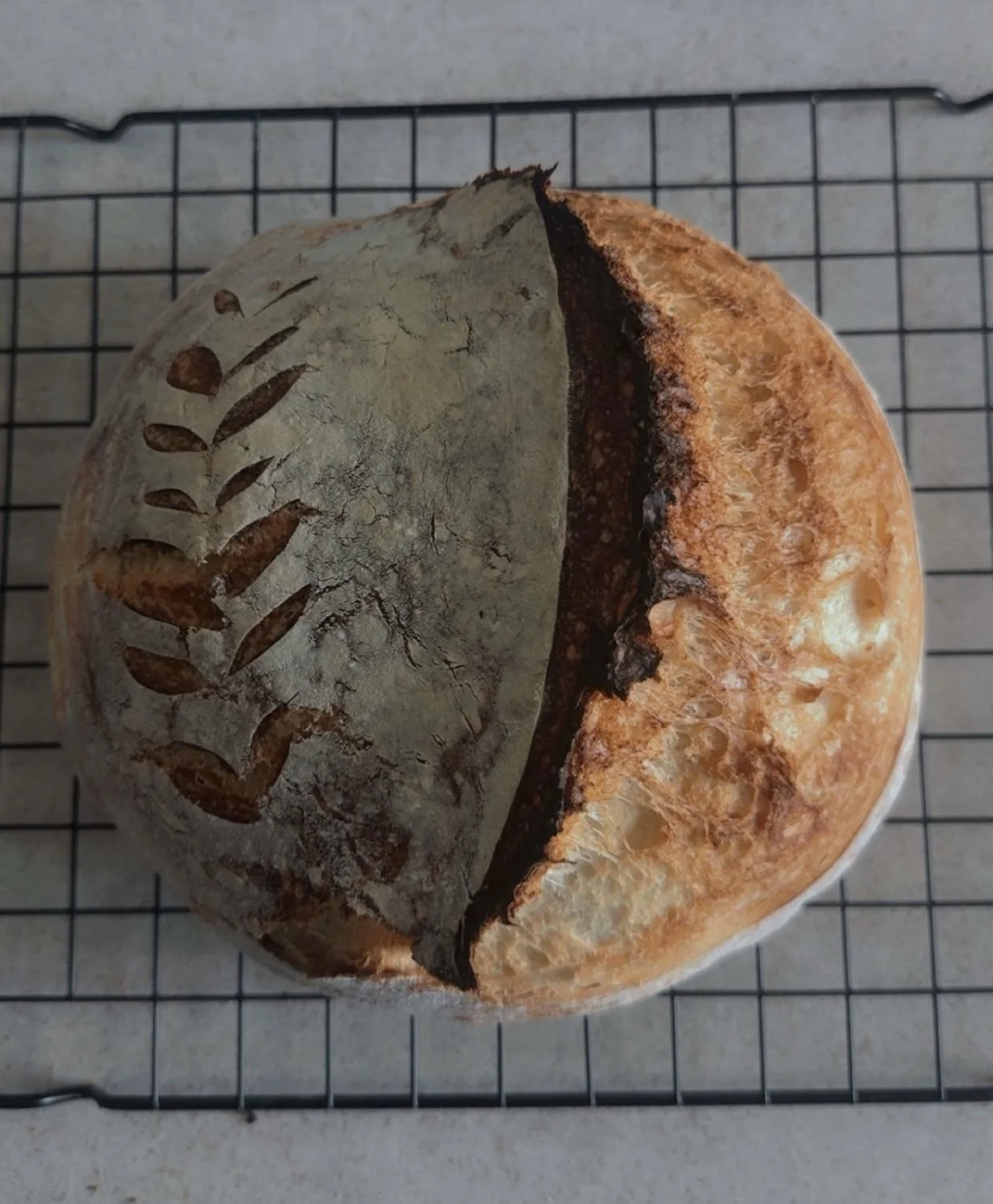 Sourdough Loaf- Plain