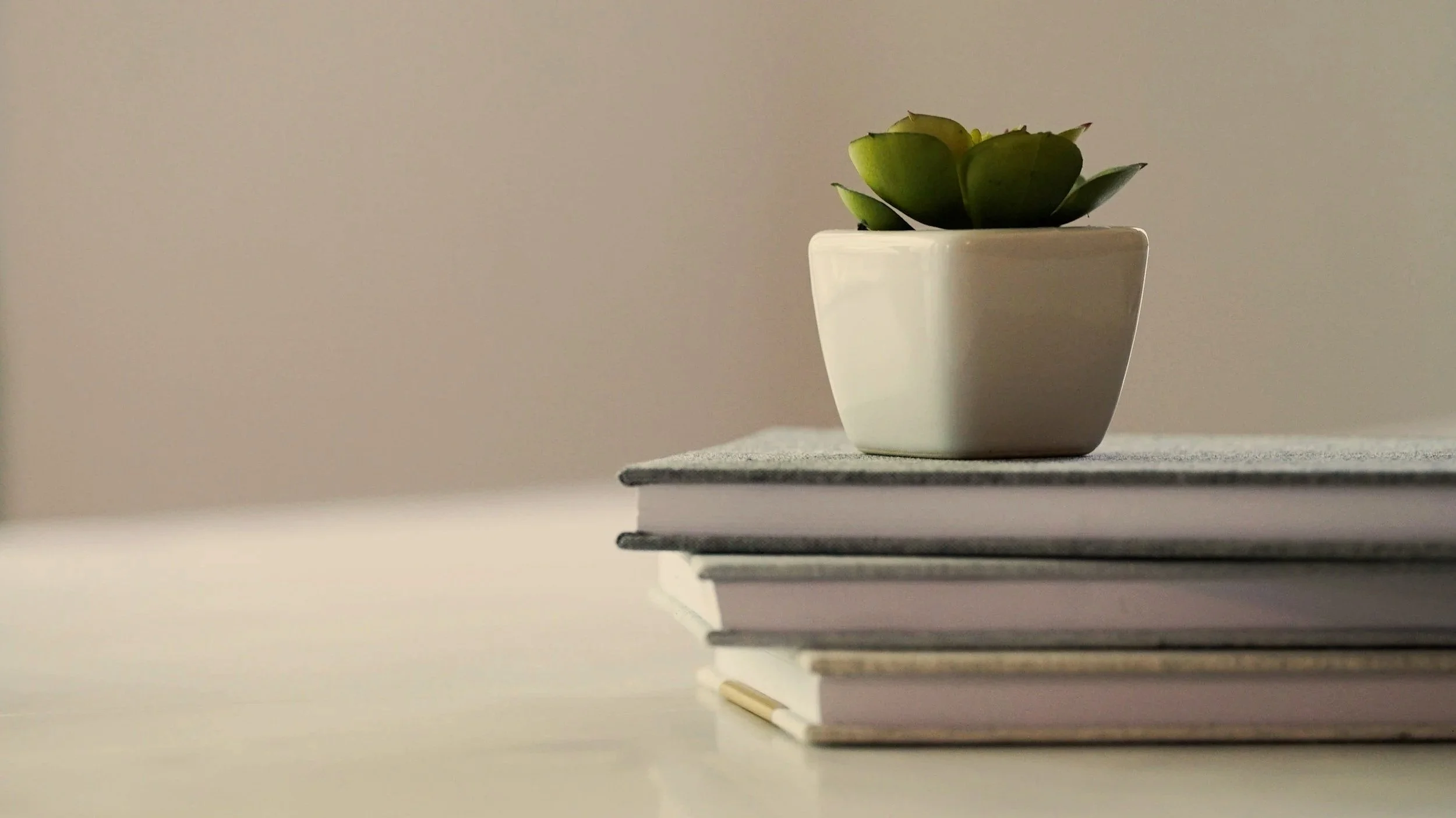 A small potted succulent plant placed on top of three stacked closed notebooks on a white surface against a plain beige wall.