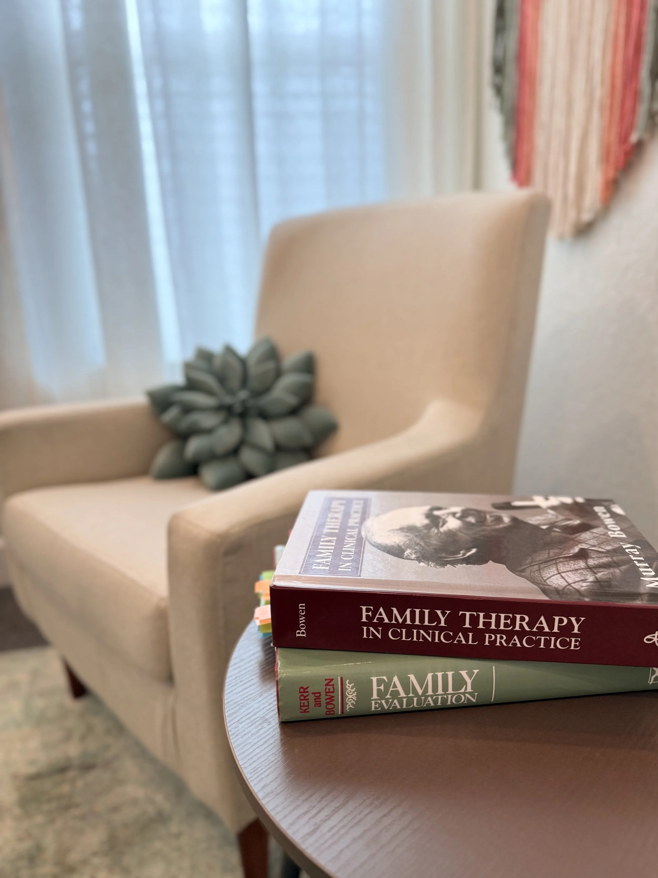 A beige upholstered armchair with a succulent-shaped pillow on the seat, next to a small round table with two books titled 'Family Therapy in Clinical Practice' and 'Family Evaluation'.