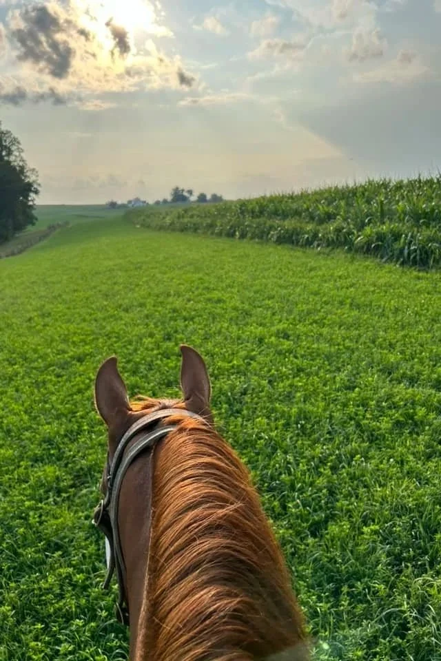 View from horseback riding through a green field with a trail, with a vast farmland and cloudy sky in the background.