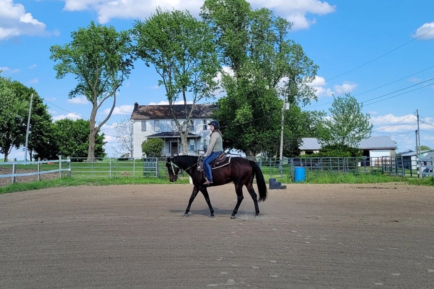 A person riding a black horse in an outdoor riding arena with trees, houses, and a blue barrel in the background.