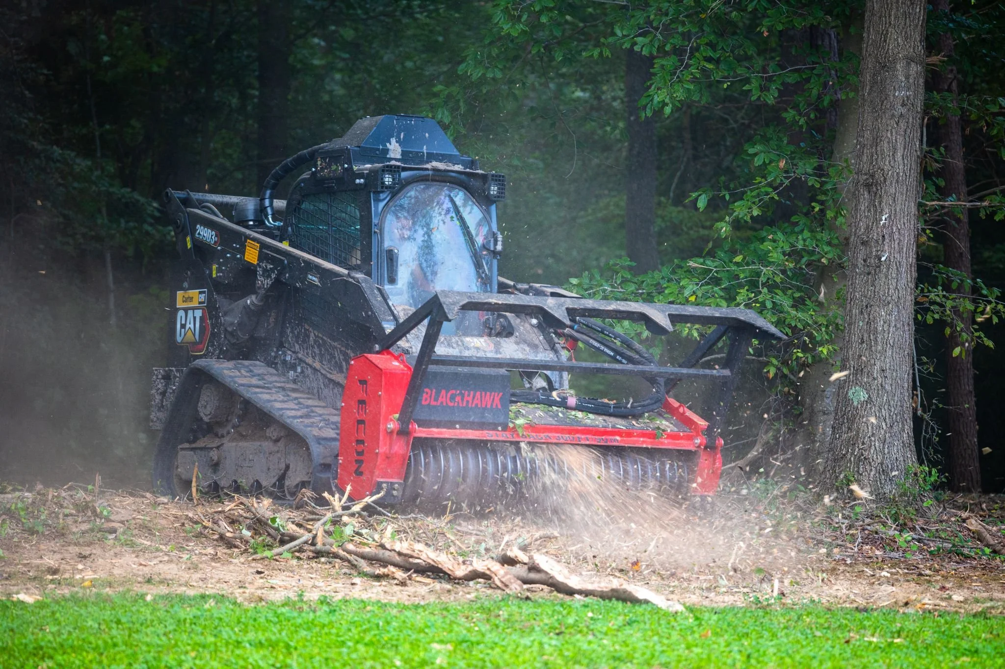 Forestry Mulching in Southern Maryland