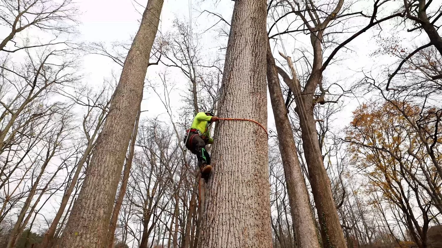 Outdoor kitchen installation integrated into a patio layout in Laurel, MD