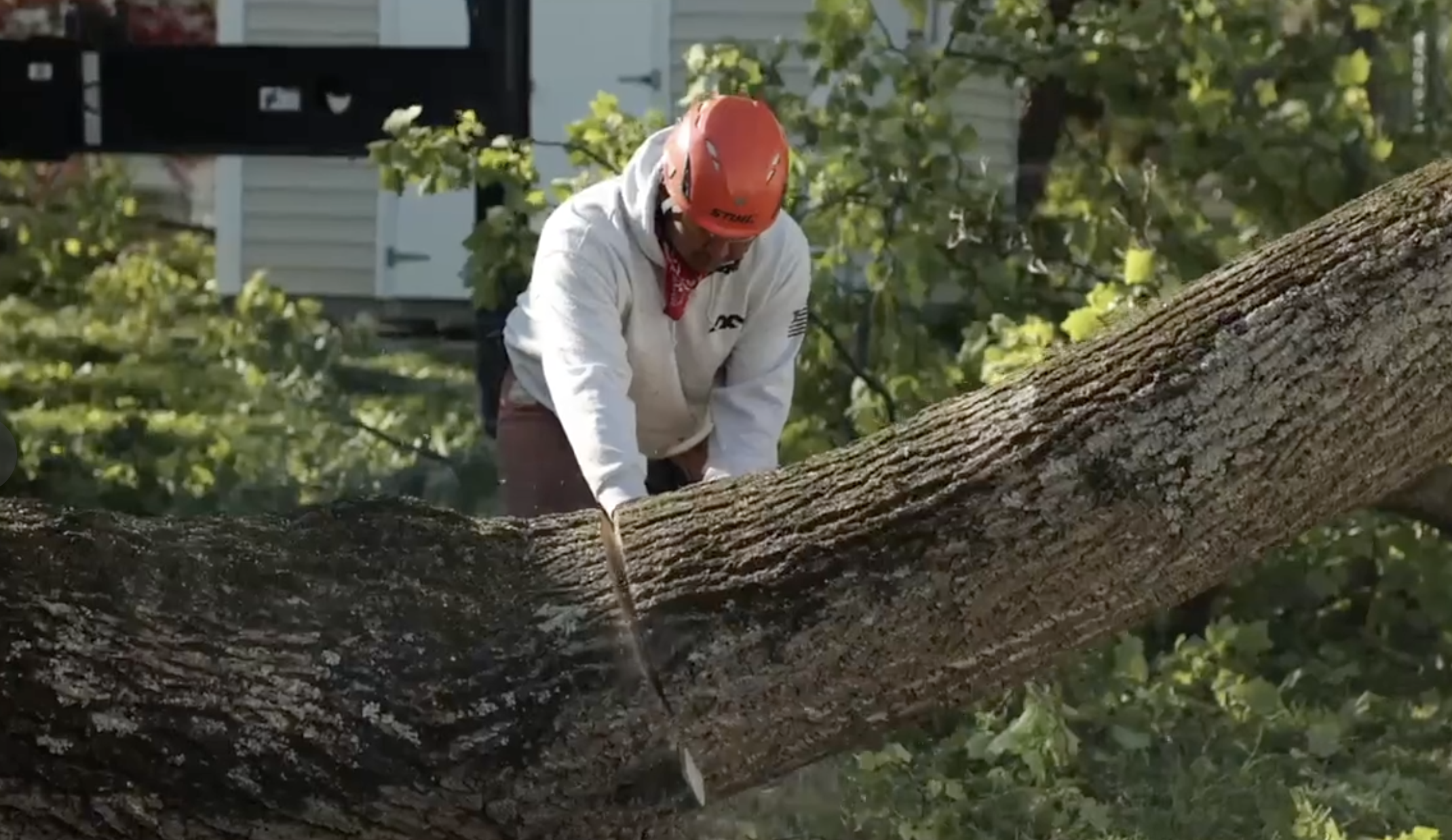 Tree removal crew in Owings MD