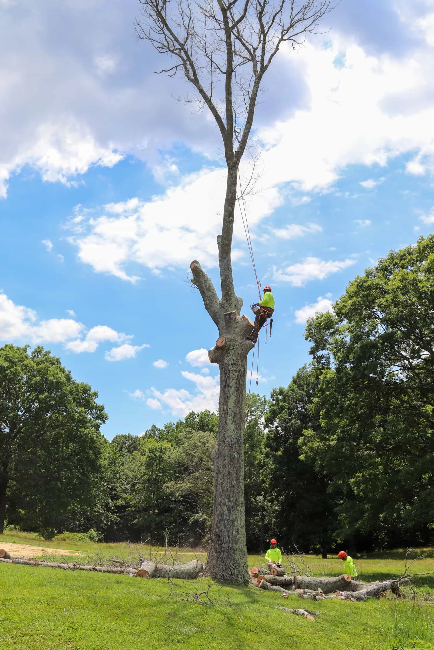 Large-scale commercial site work managed from start to finish in Southern Maryland