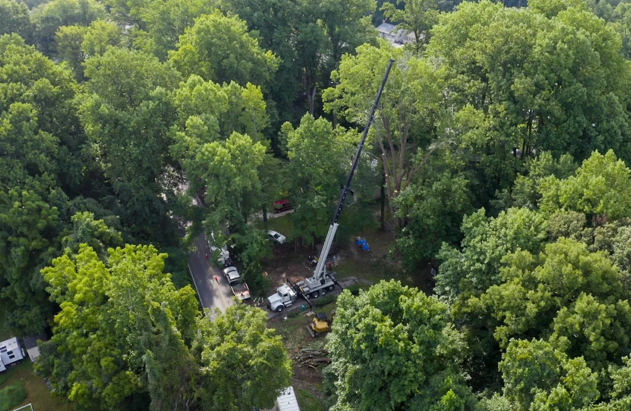 Forestry mulching clearing undergrowth on a commercial lot in Lexington Park, MD