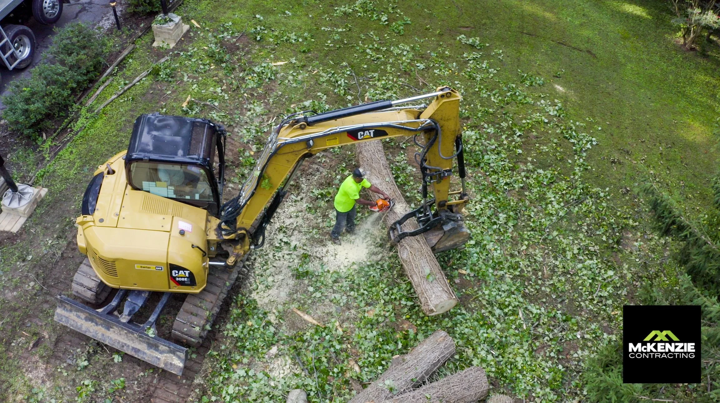 6 Signs You Need Professional Tree Removal in Crofton, MD