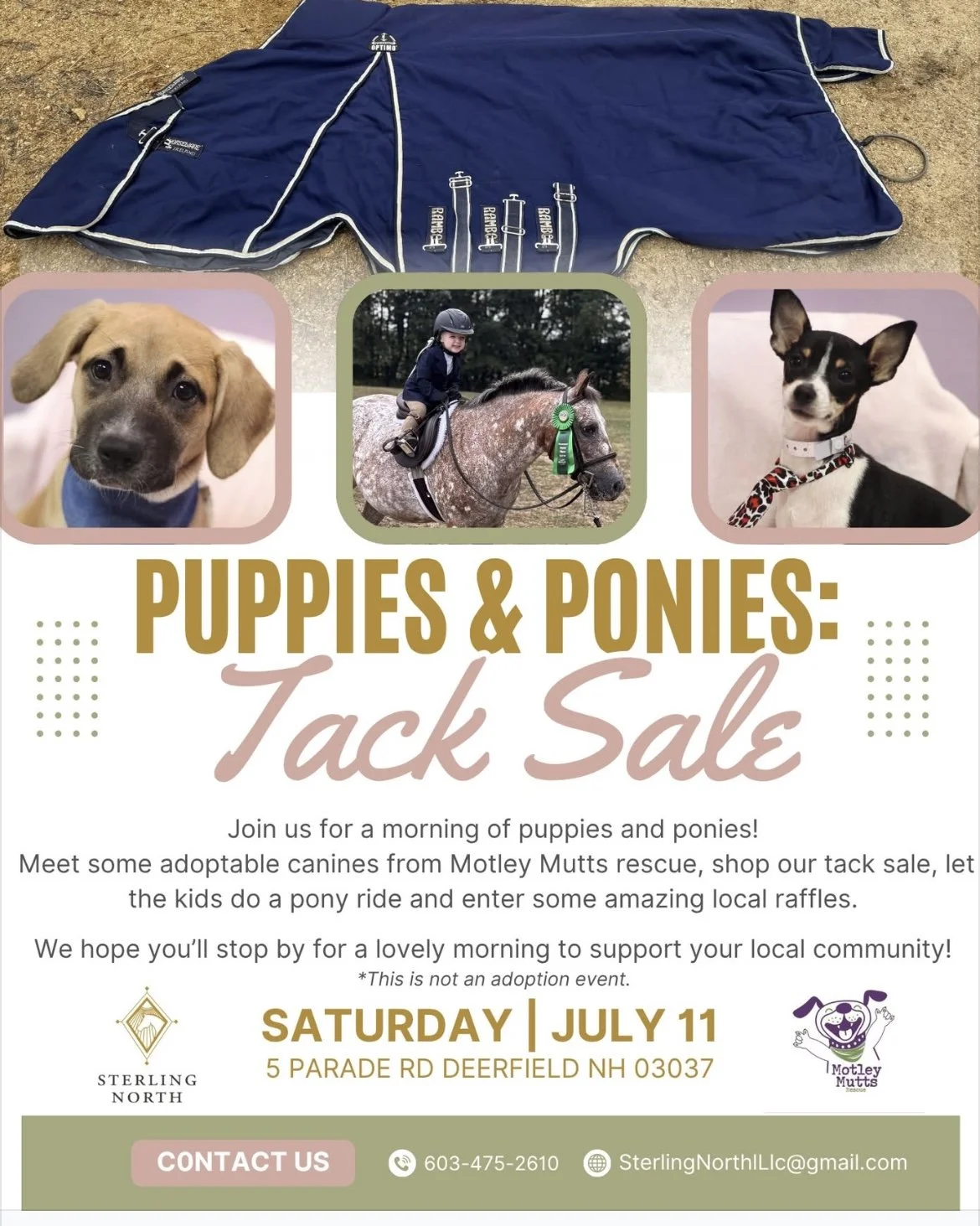 Tack Sale ~ Puppies & ponies 