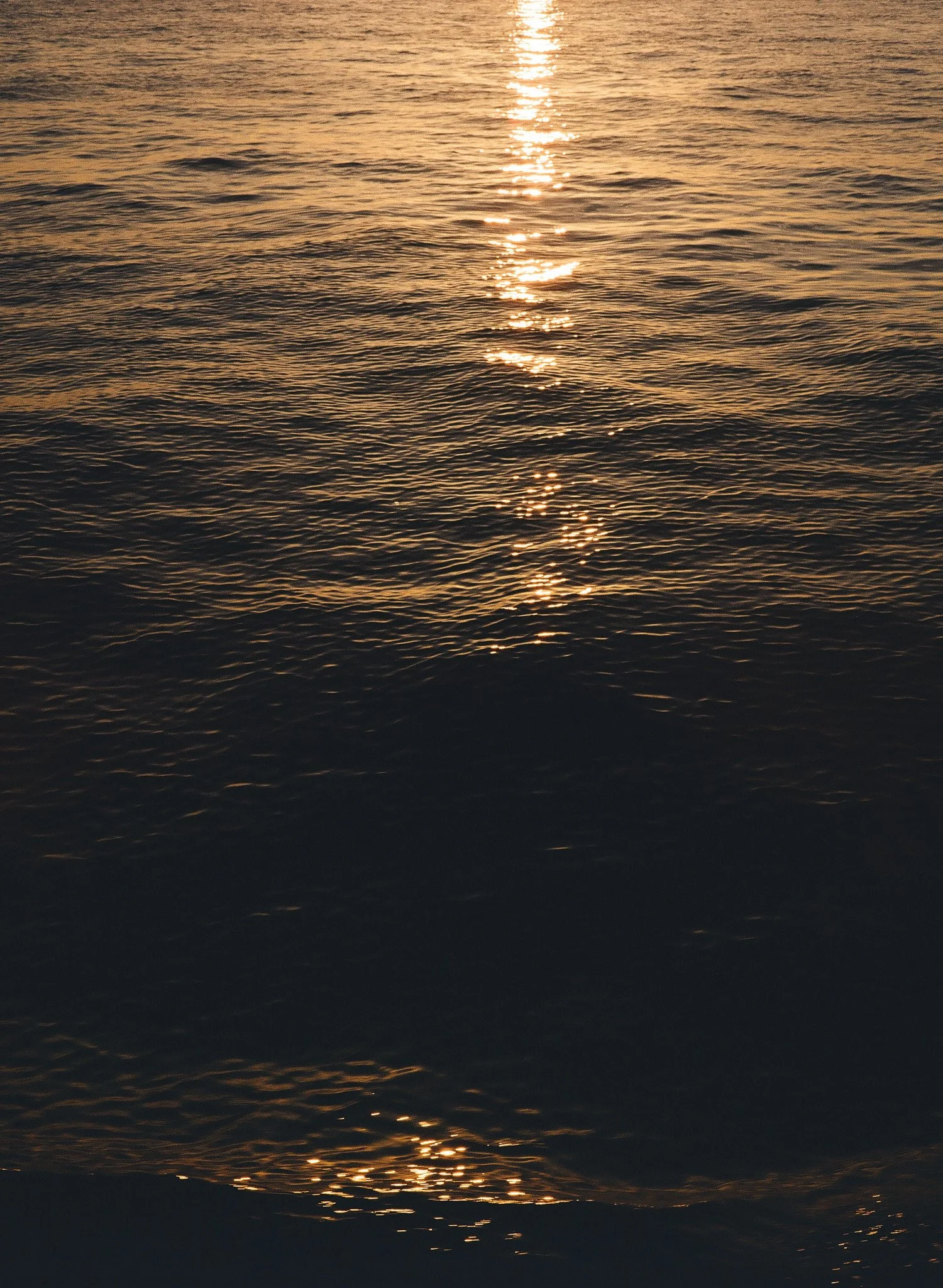 helaine-florida-wedding-photographer-1.jpg