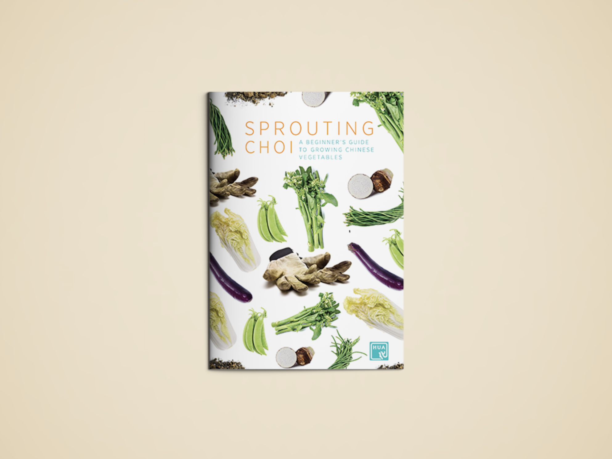 Sprouting Choi Growing Guide