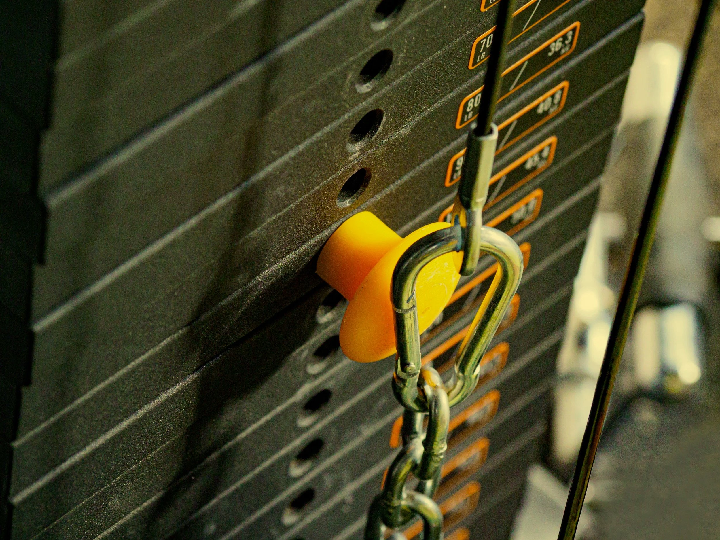 Hyper           mobility &amp; NEuro divergence