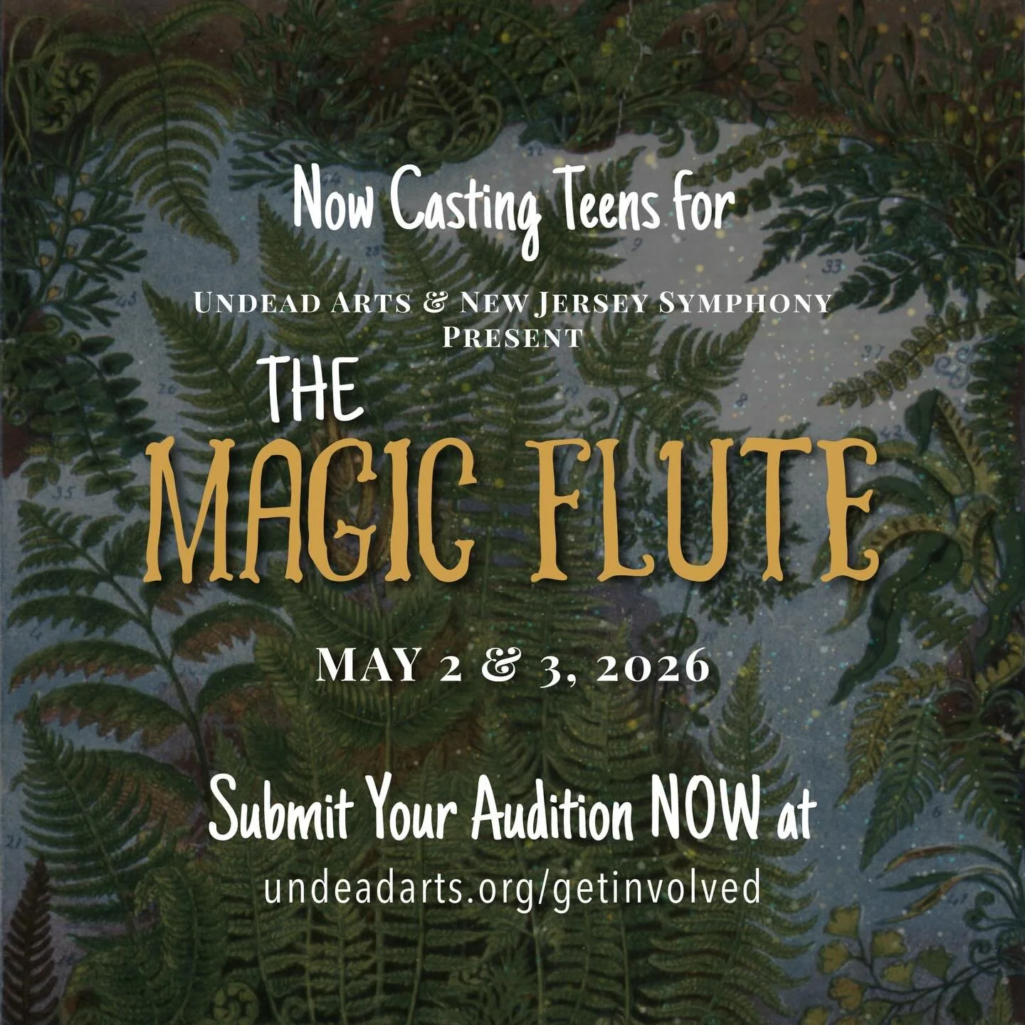 Now casting TEENS to 🌟 STAR 🌟 in our upcoming The Magic Flute in collaboration with @njsymphony This opportunity is open to performers 11-16 who love to perform and want an opportunity to sing with full orchestra and profesional opera singers! See 