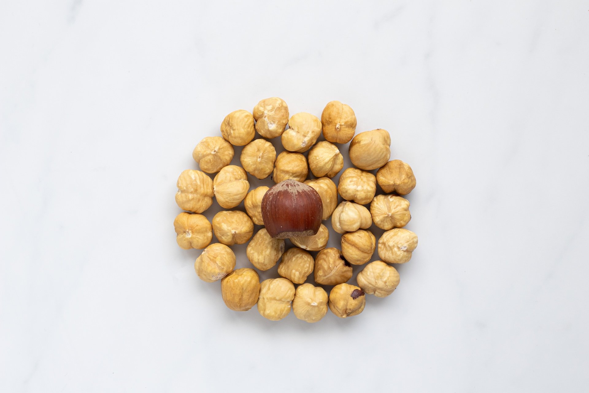 cercle de noisettes décortiquées torréfiées biologiques