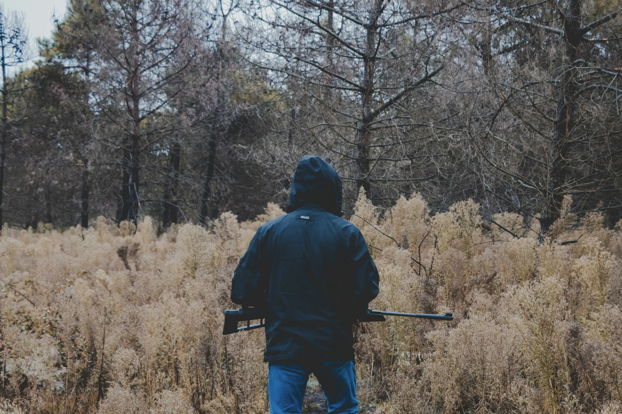 A person in a dark jacket and jeans holding a shotgun, walking through a wooded area with tall, dry grass and leafless trees.