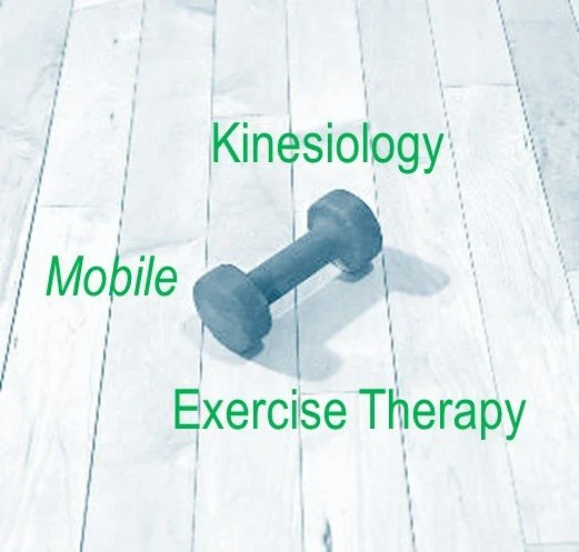 Kinesiologist near me, Exercise therapy Calgary, Fitness coach Calgary, strength and mobility training Calgary, Injury prevention exercises Calgary, athletic performance training, movement assessment, guided exercise sessions, group fitness classes