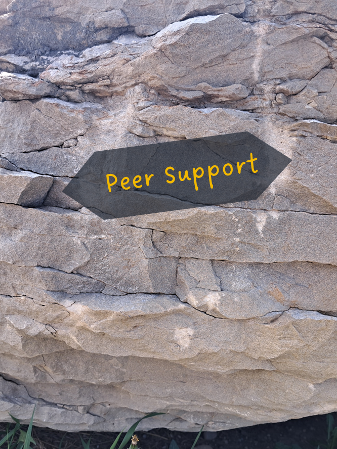 Group sessions- great opportunity to discuss problems and solutions, and share experiences.