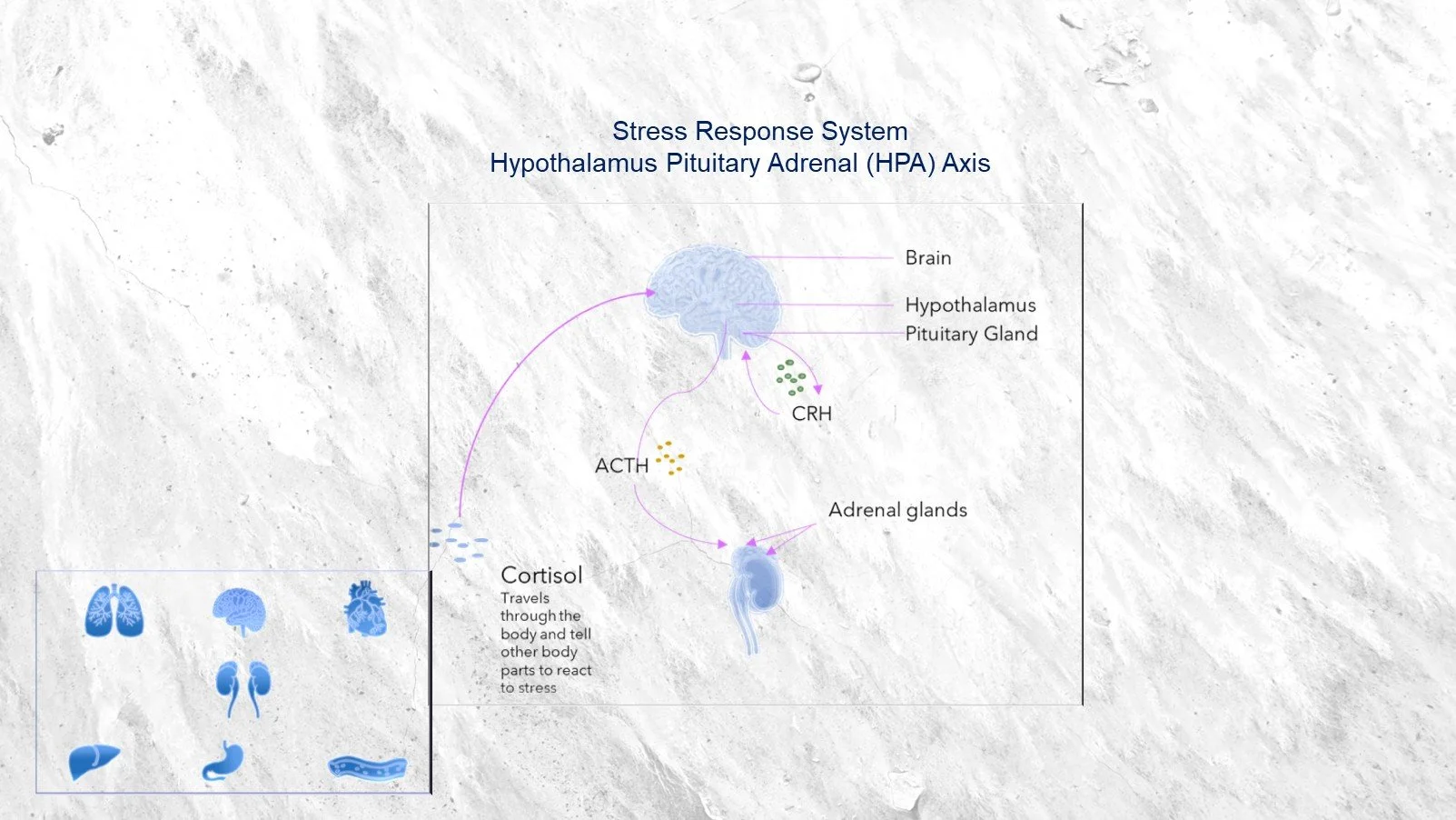 Discrimination affects both physical and mental health