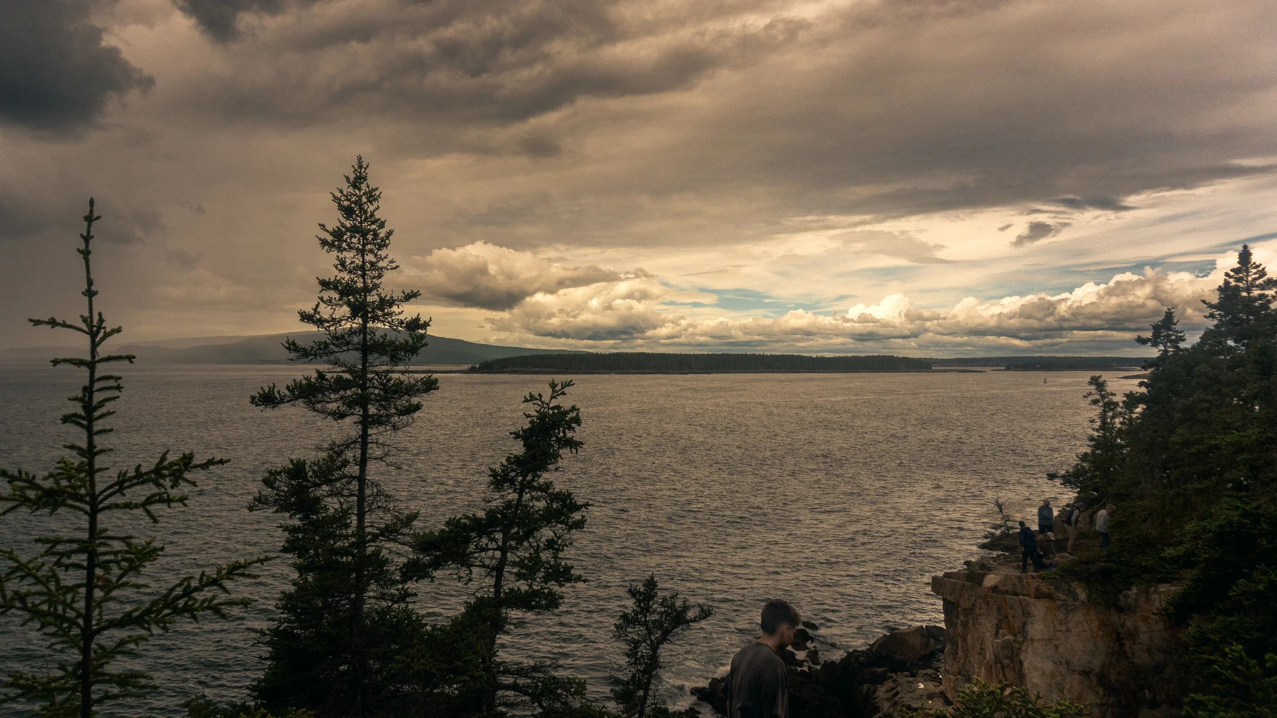 _DSC1717.jpeg
