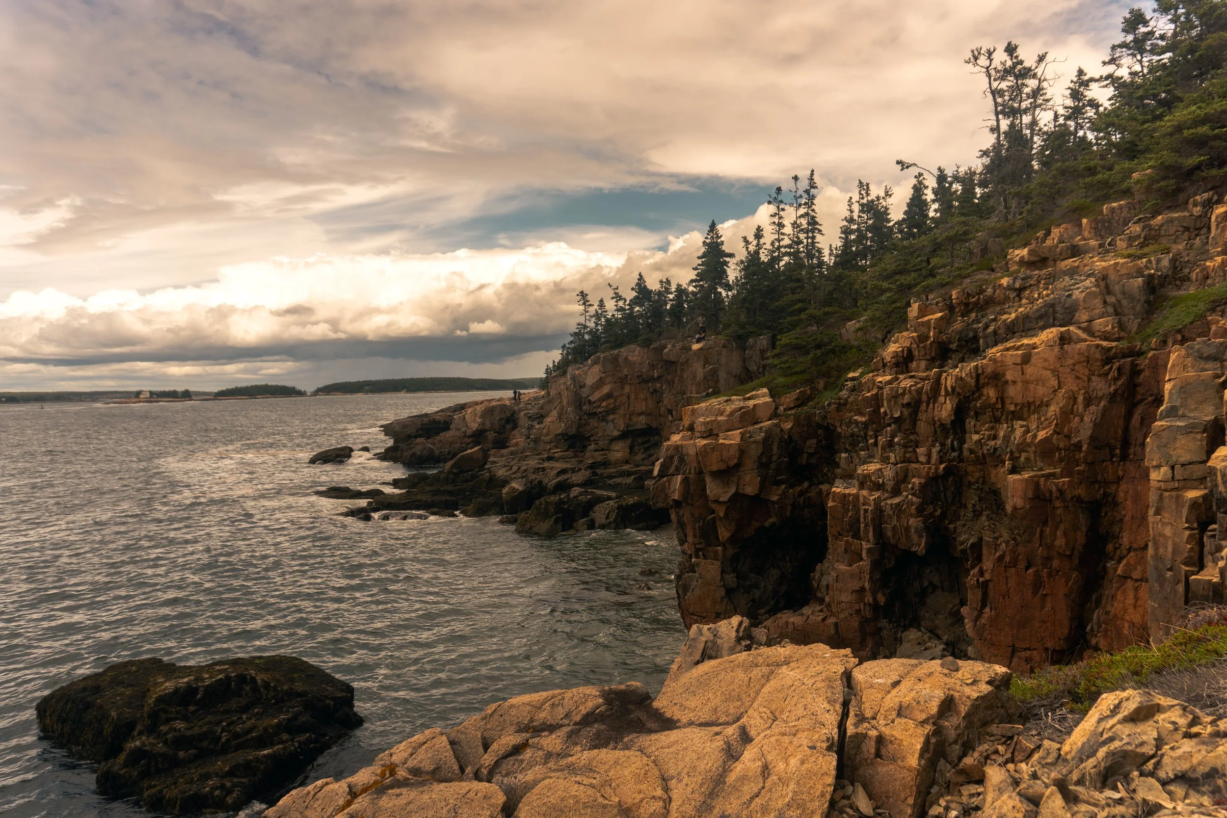 _DSC1761.jpeg