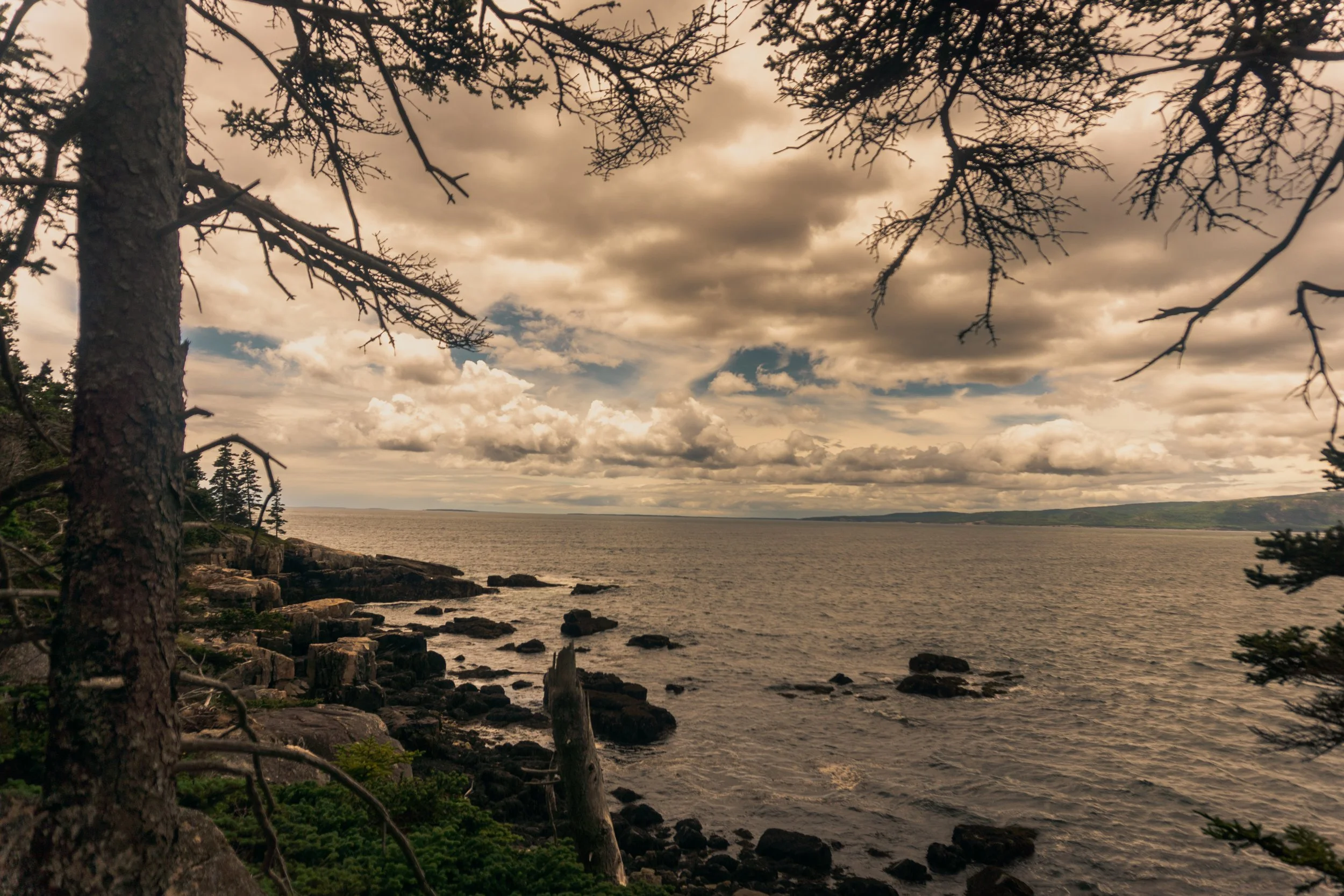 _DSC2199.jpeg