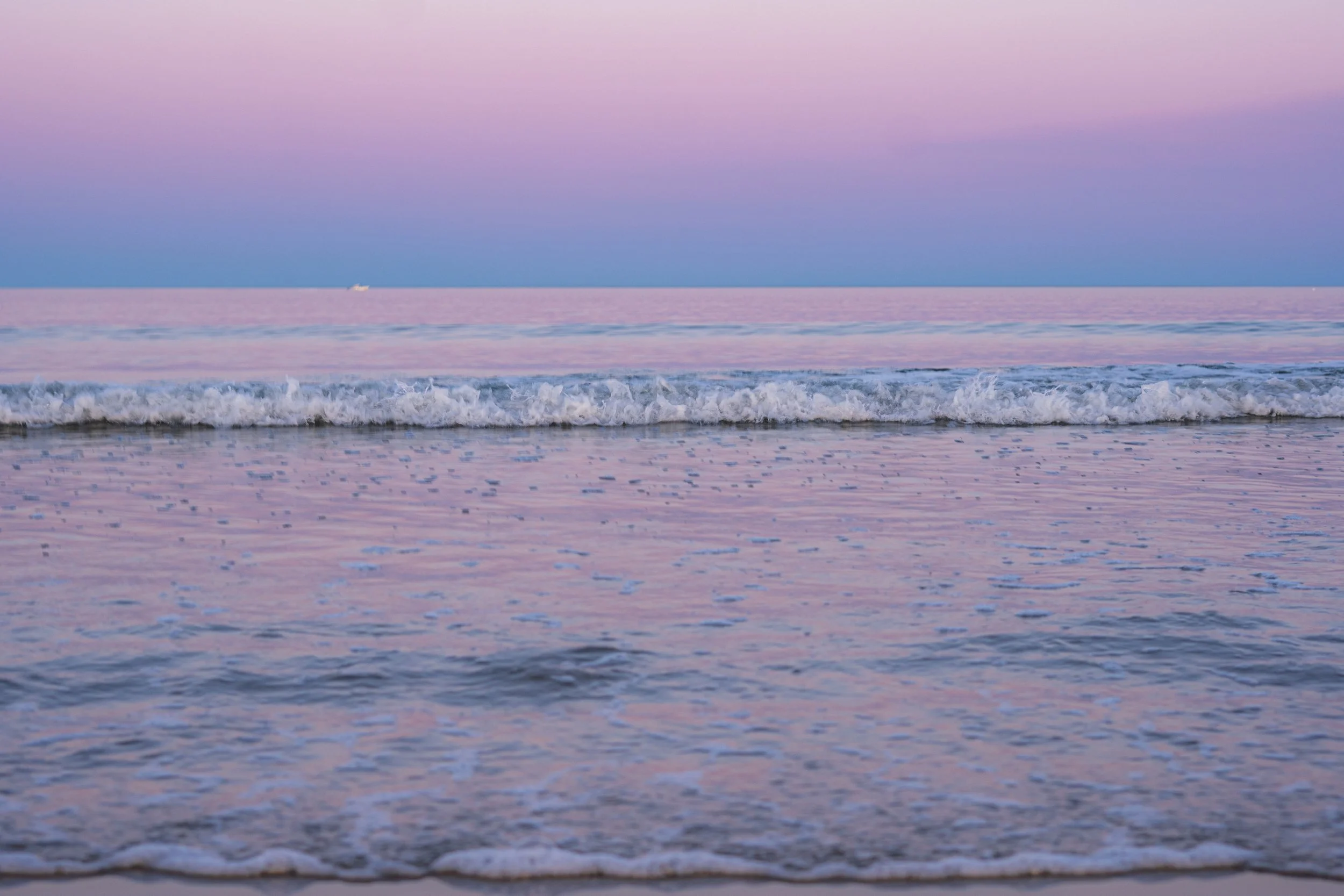 Field Note 03- Low Tide, High Drama