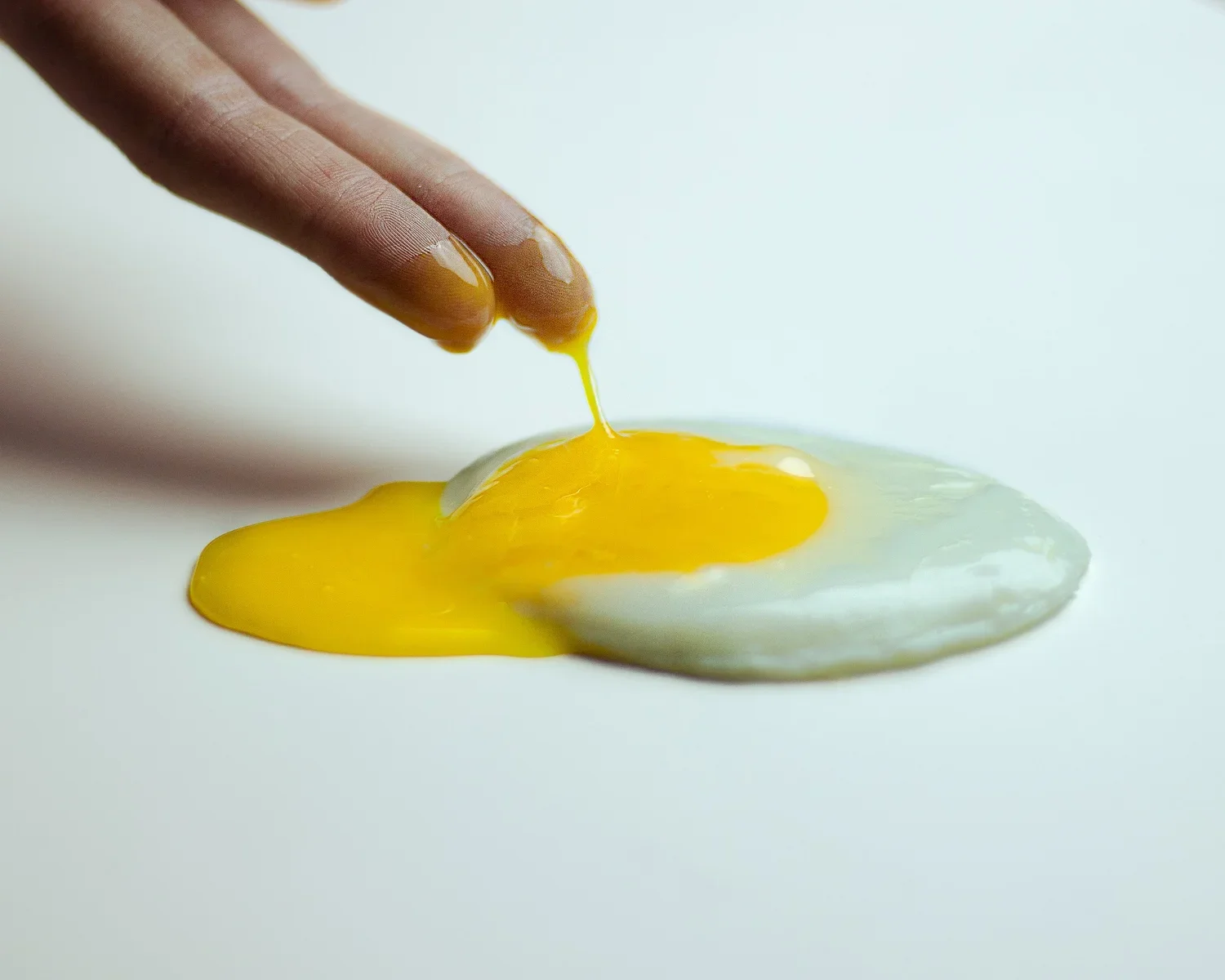 Art Work by Emily Seiler.webp