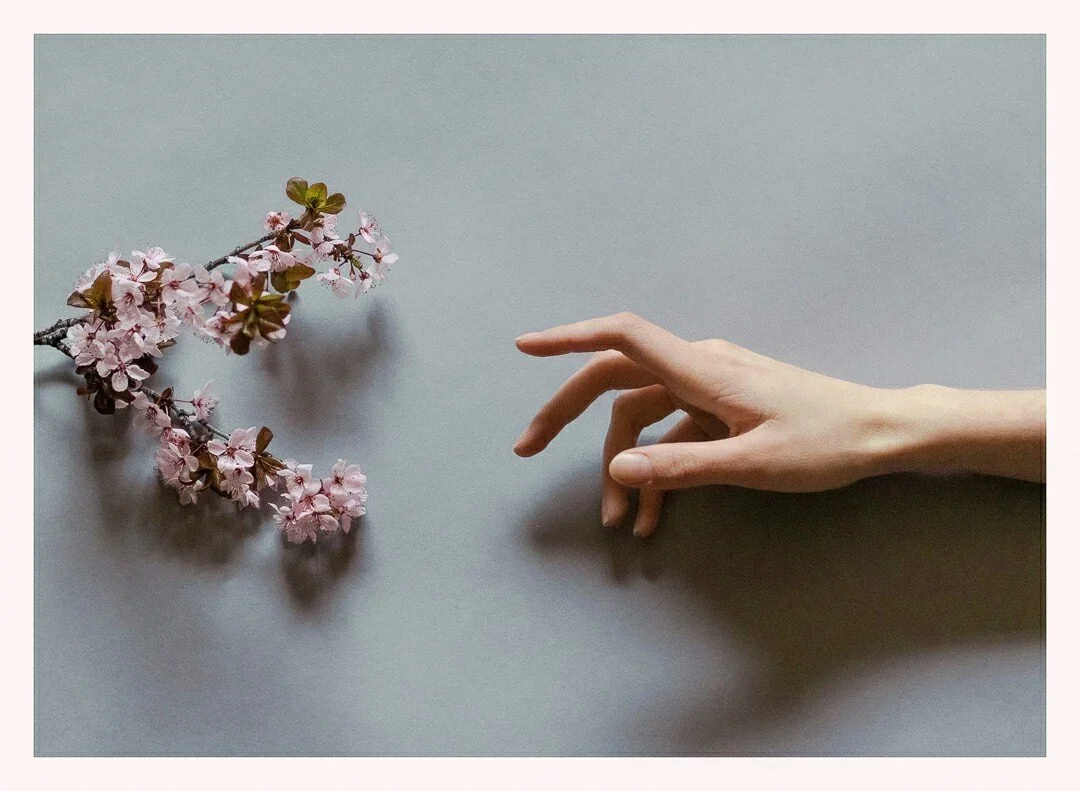 Emily Seiler Art Work Edit.webp