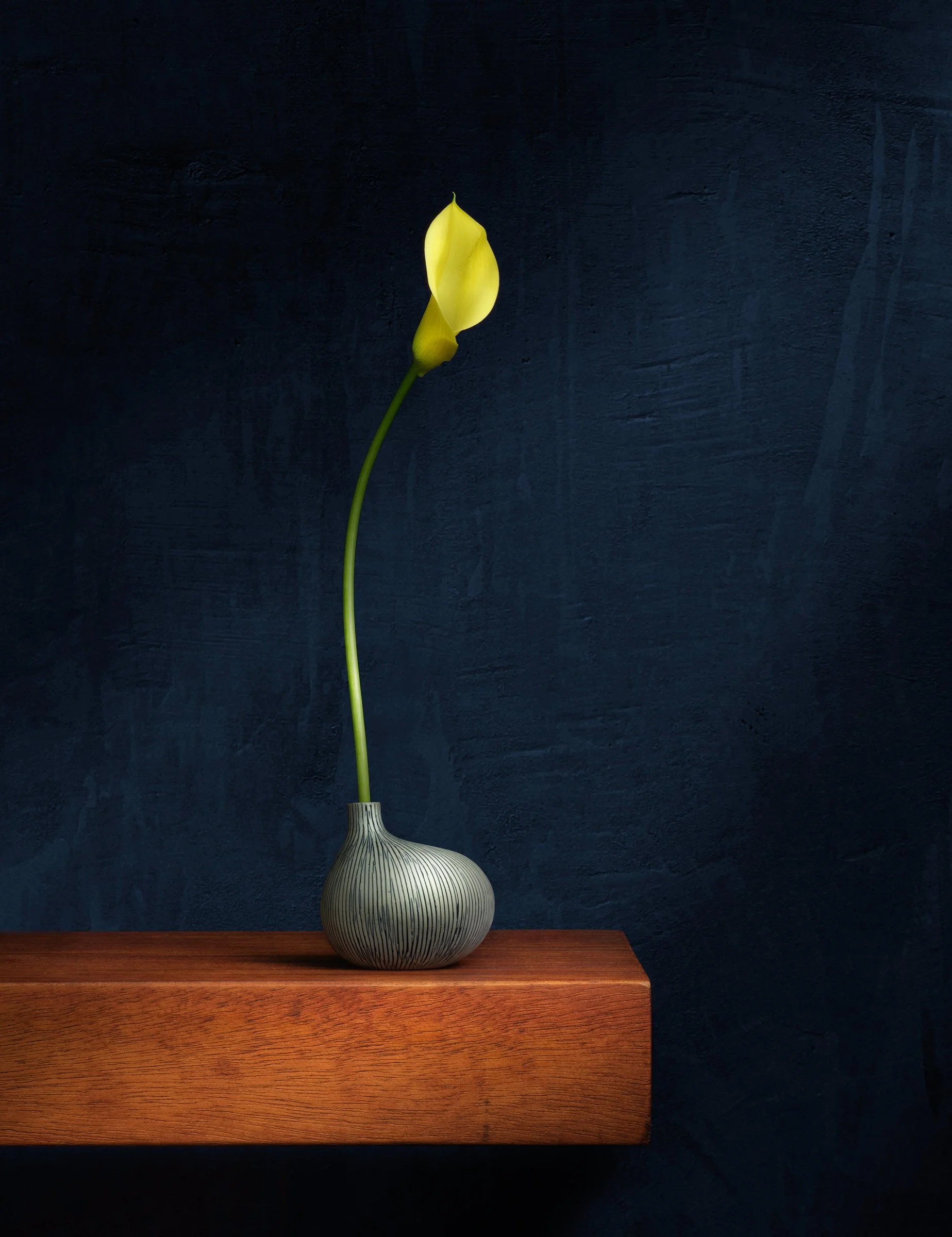 Still Life with Calla Lily 2025.jpg