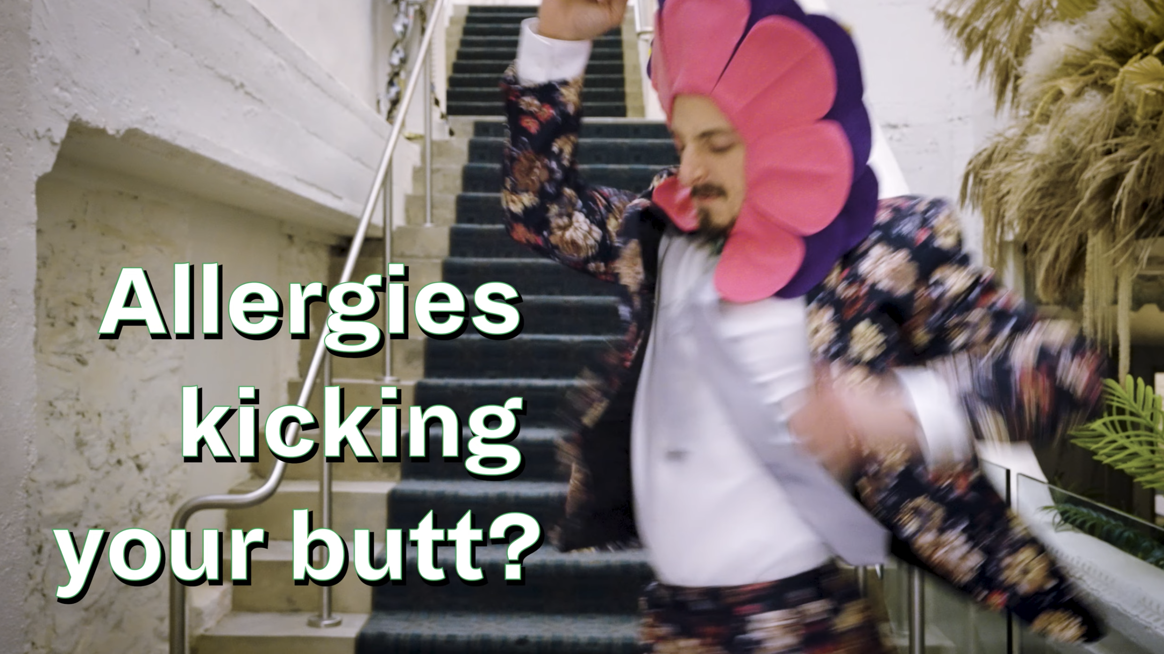 The Allergy Attack 1