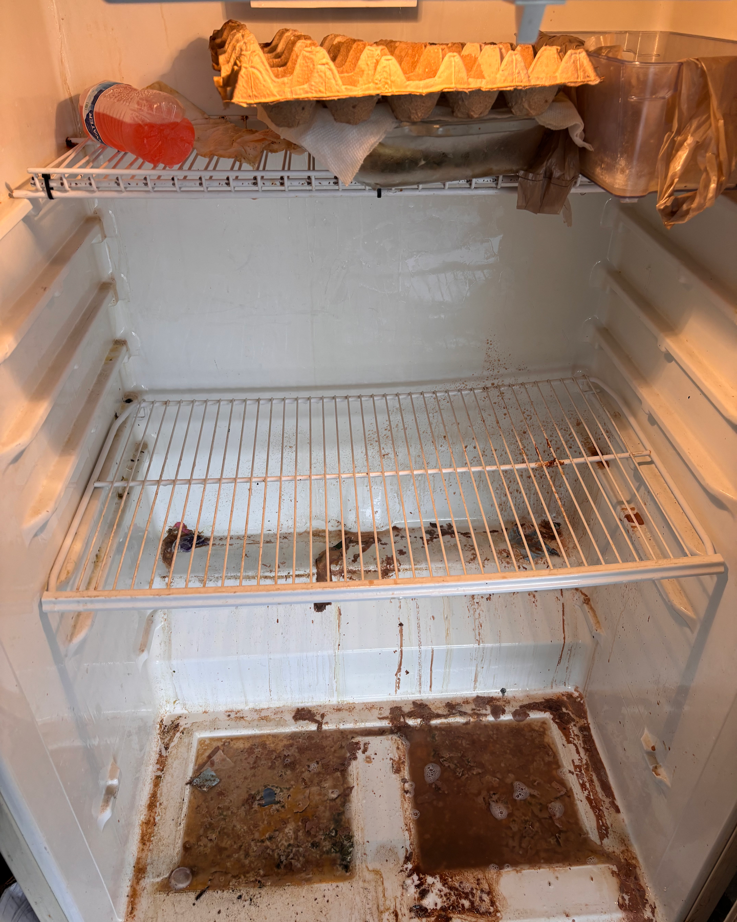 Deeping Cleaning Fridge.png