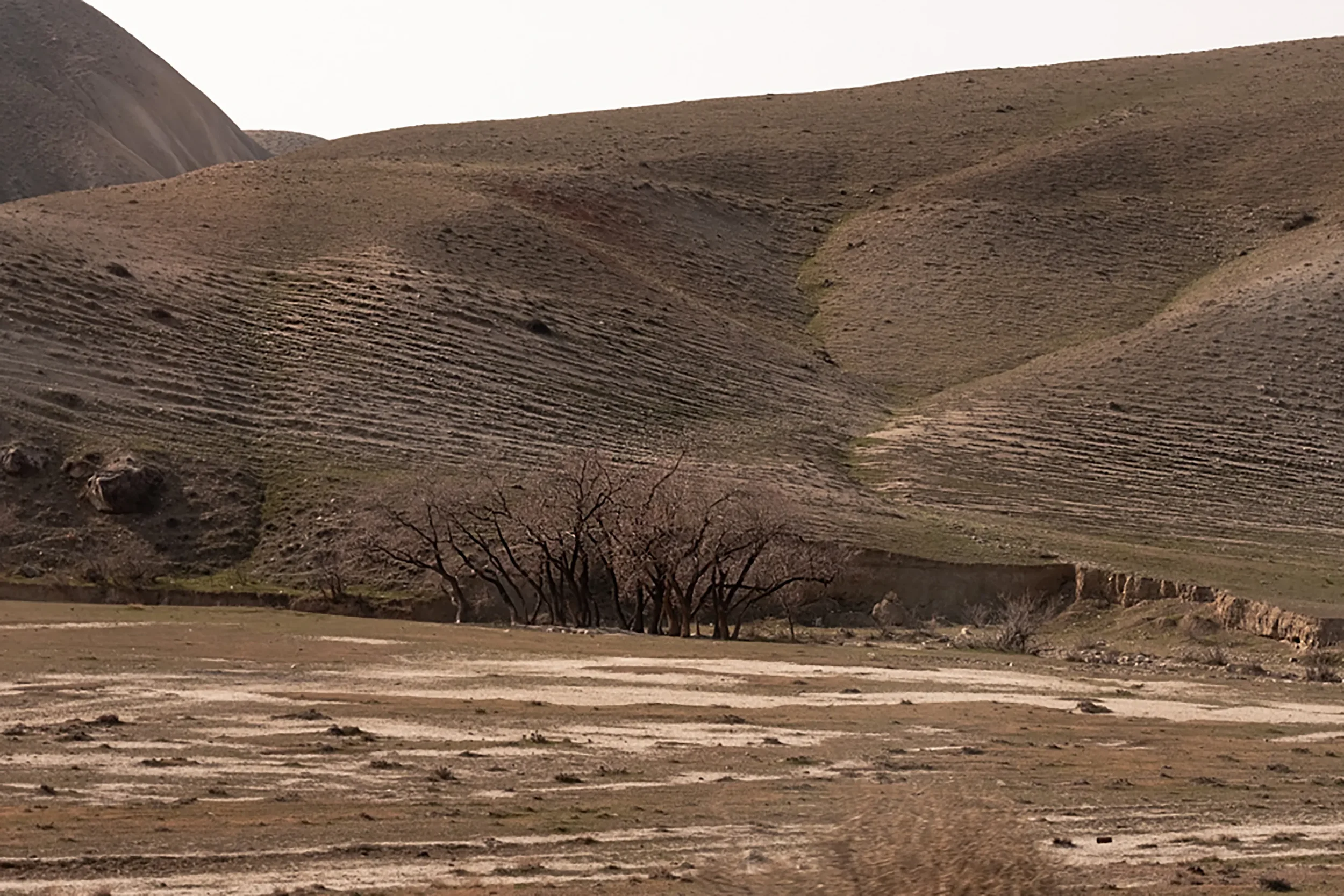 Life / Exoplanet A2 – 3, NØVA III / 2023, 1